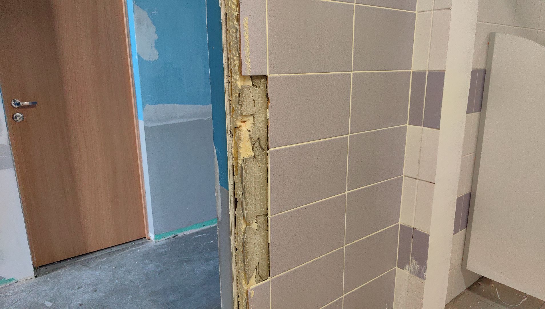 ремонт, санузел, школа, учебный год, потолки,