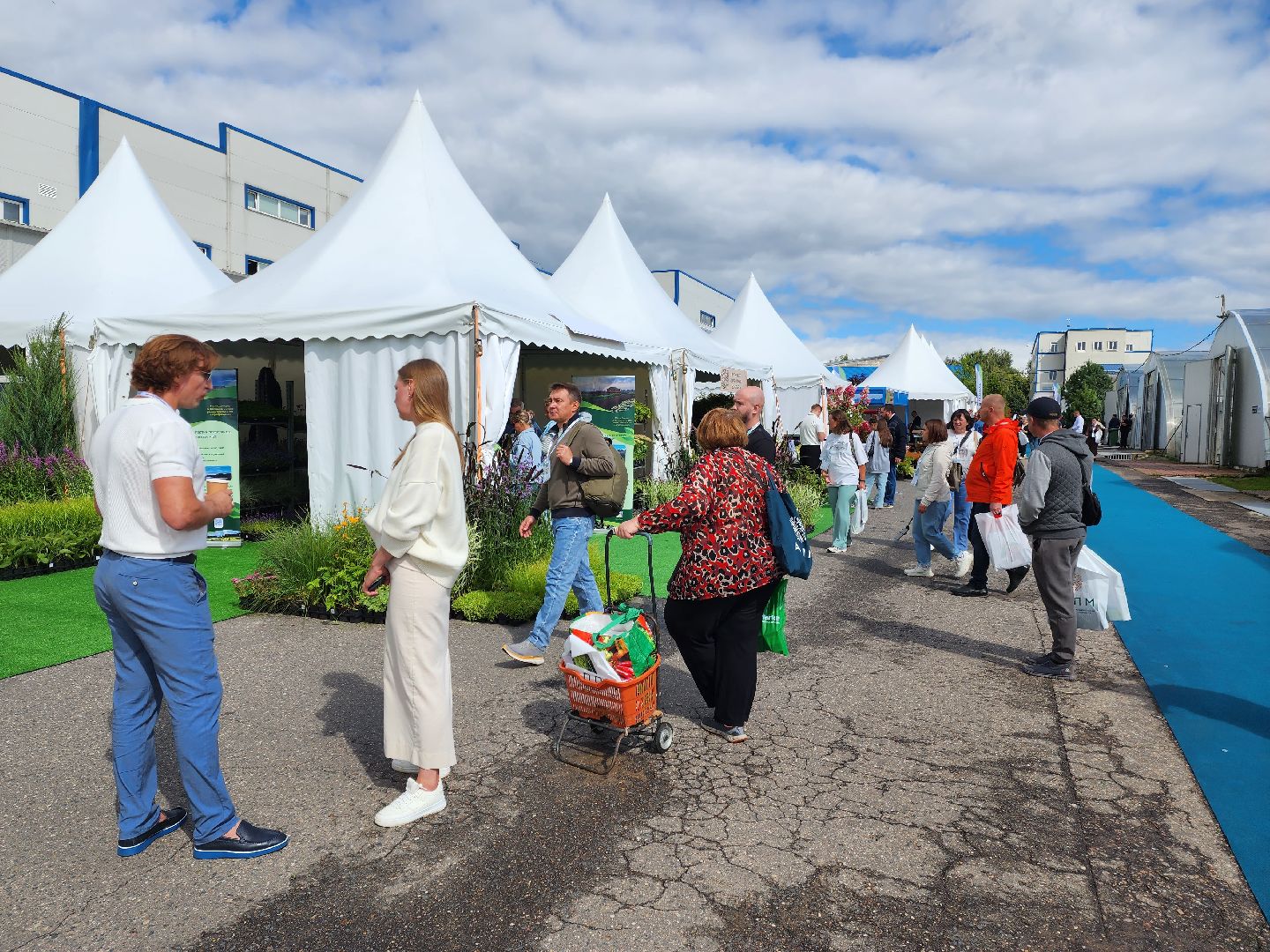 люберцы, сельское хозяйство, вторая международная выставка ассоциации производителей посадочного материала ,