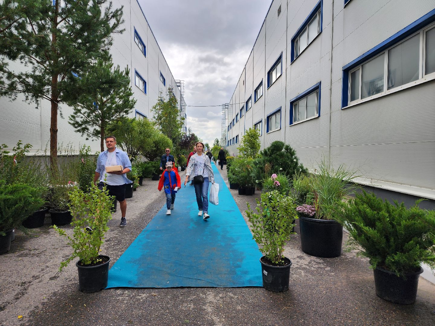 люберцы, сельское хозяйство, вторая международная выставка ассоциации производителей посадочного материала ,