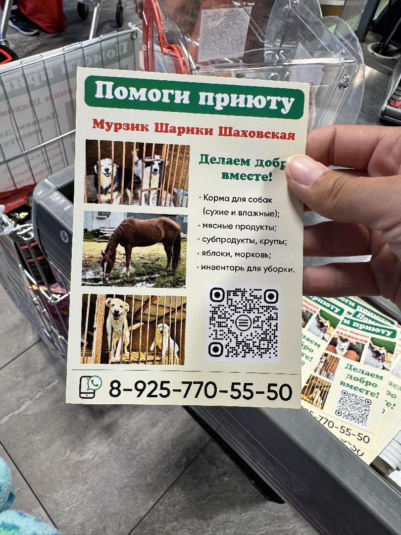 шаховская, приют бездомных животных, приют для бездомных животных, приют для животных, сбор помощи, акция,