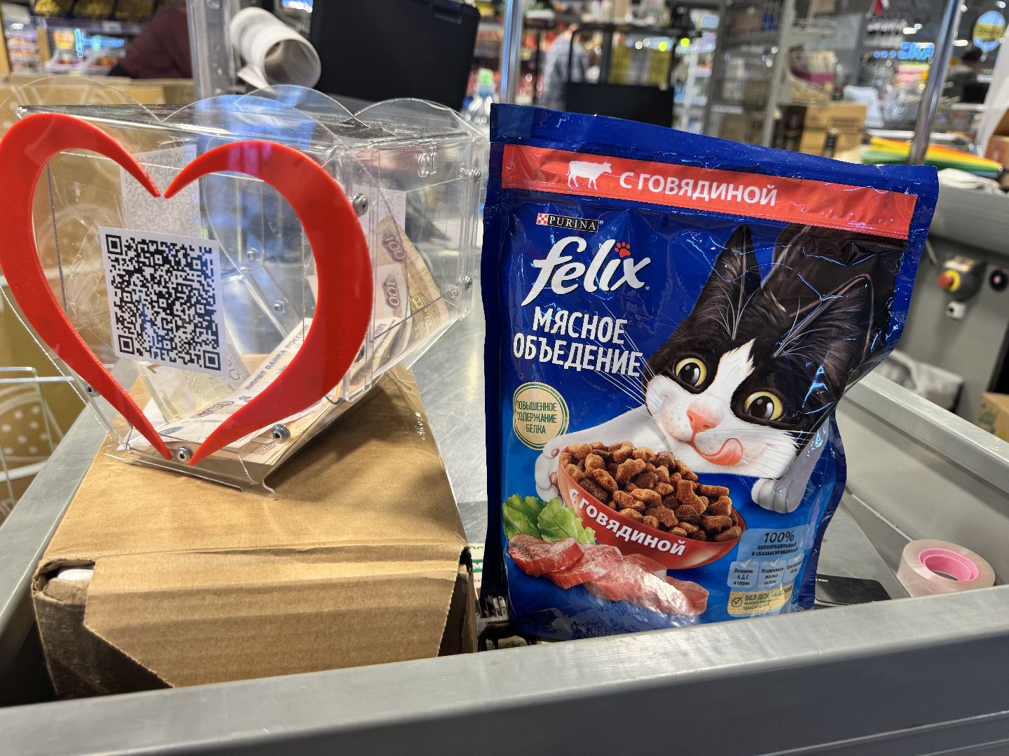 шаховская, приют бездомных животных, приют для бездомных животных, приют для животных, сбор помощи, акция,