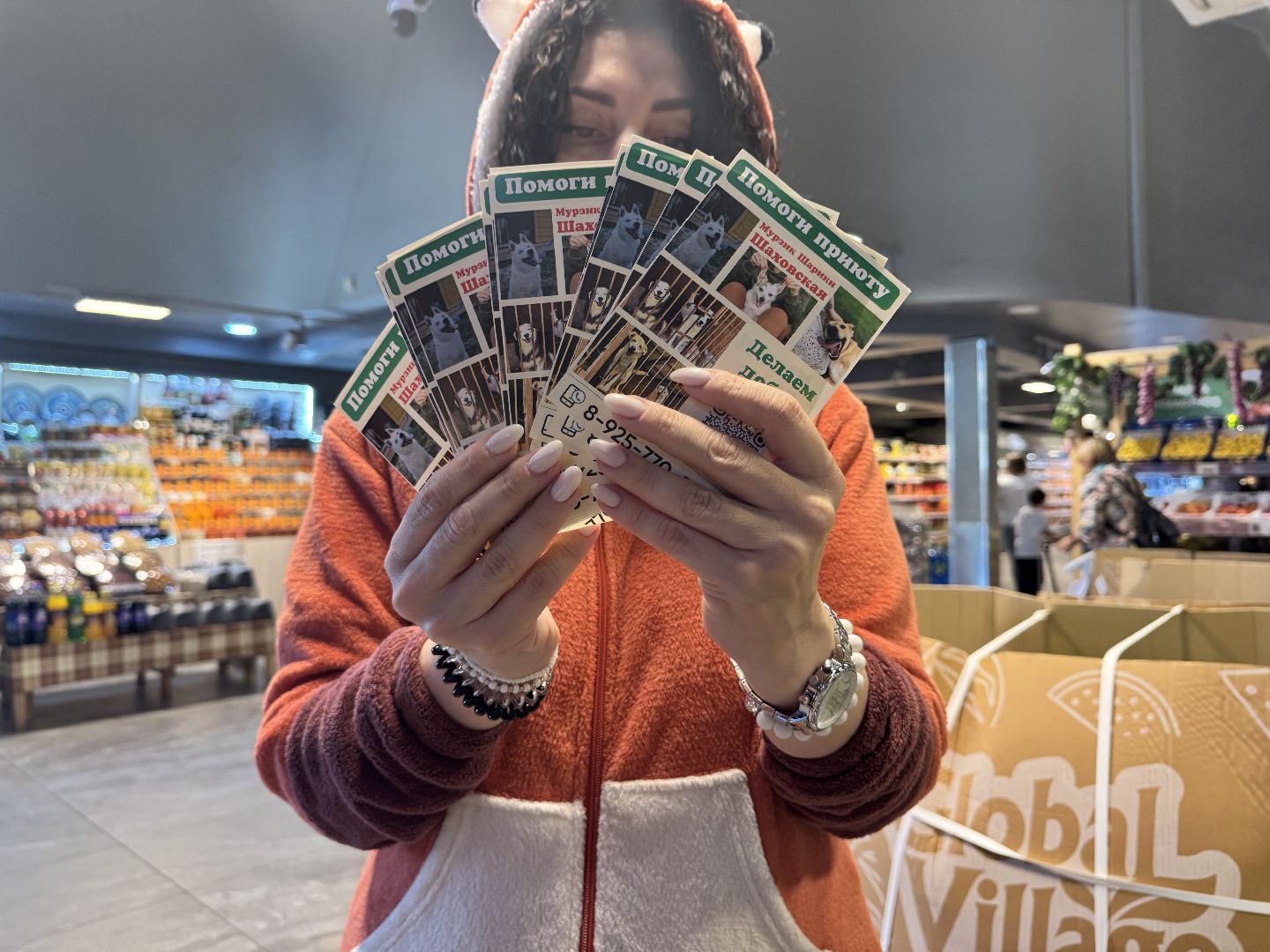 шаховская, приют бездомных животных, приют для бездомных животных, приют для животных, сбор помощи, акция,