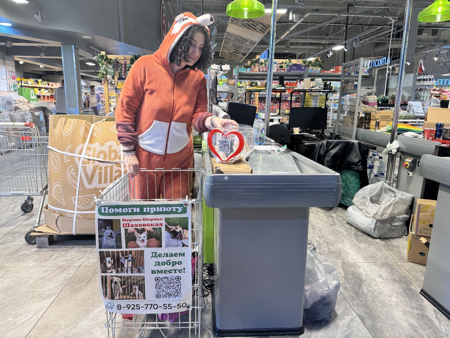 шаховская, приют бездомных животных, приют для бездомных животных, приют для животных, сбор помощи, акция,