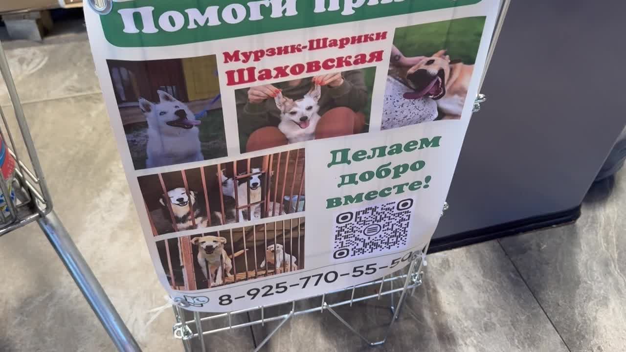 /mediabank_mount//78940/5e5171cbd9d95f7bd6d0b9ab9397f7d5.jpg