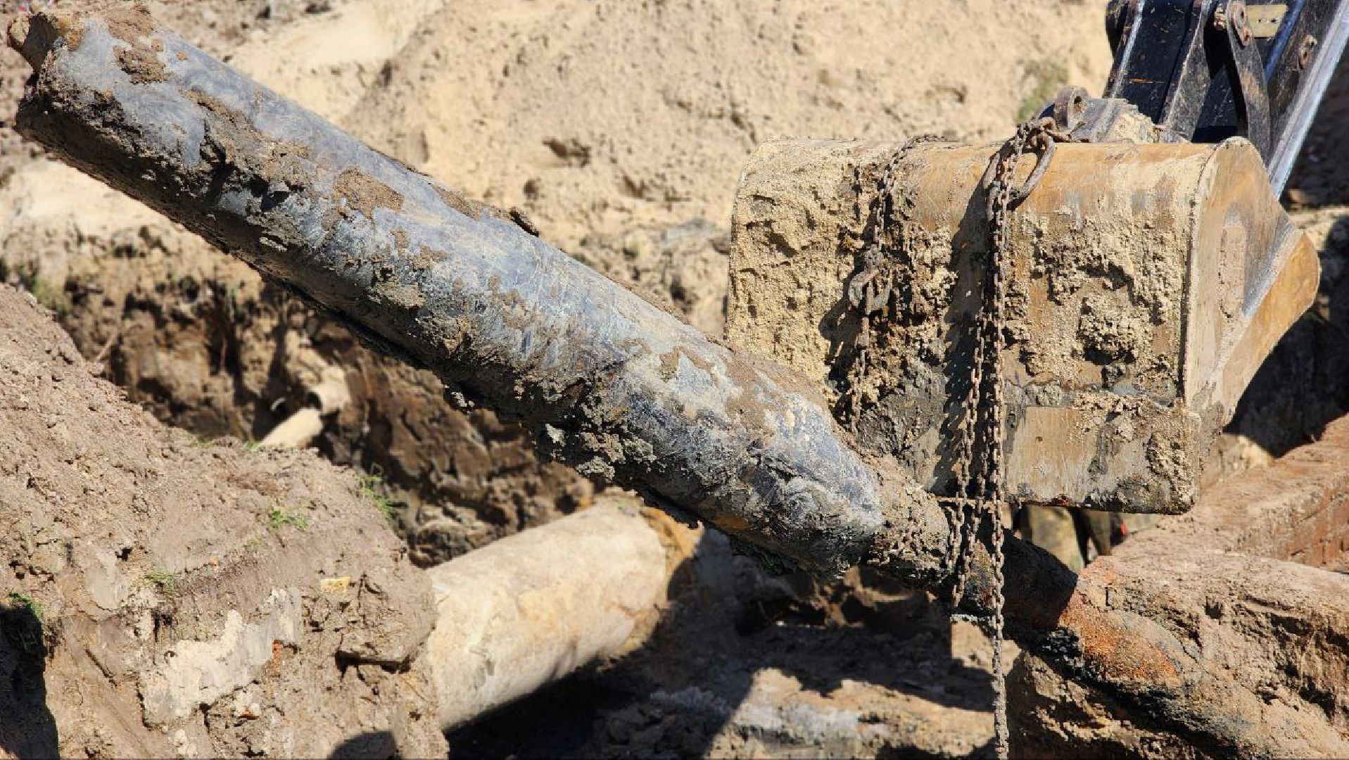 луховицы, красная пойма,