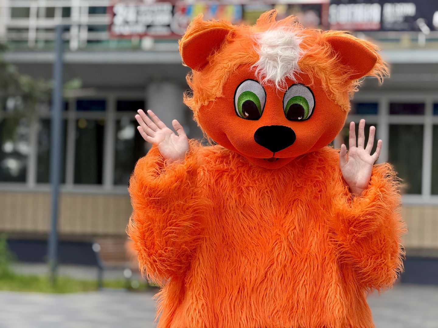 раменское, собери ребенка в школу, благотворительность, молодежный центр, депутаты, благотворительная акция,