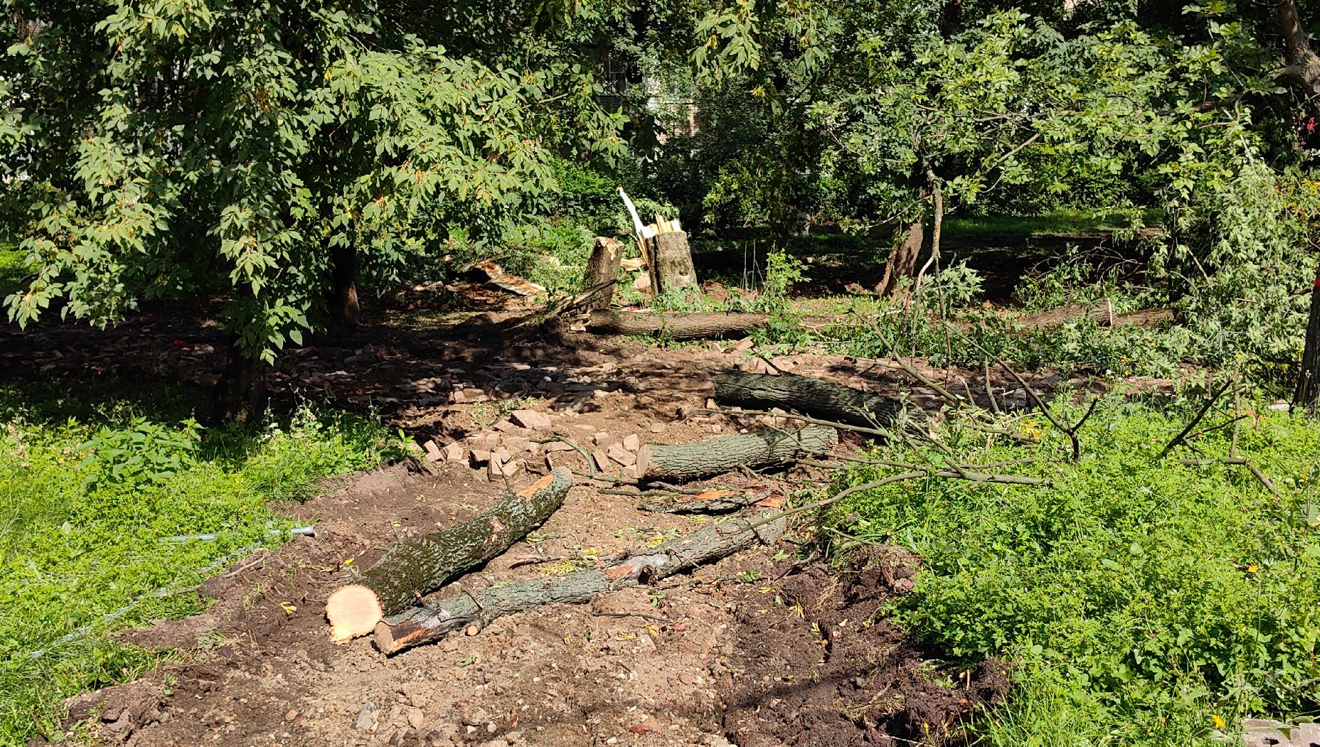 сквер, тротуар, урна, лавочка, камера видеонаблюдения,