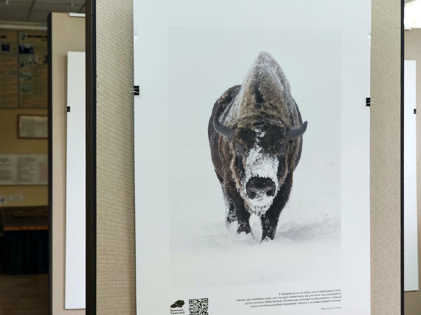 Пущино, серпухов, культура, экология,