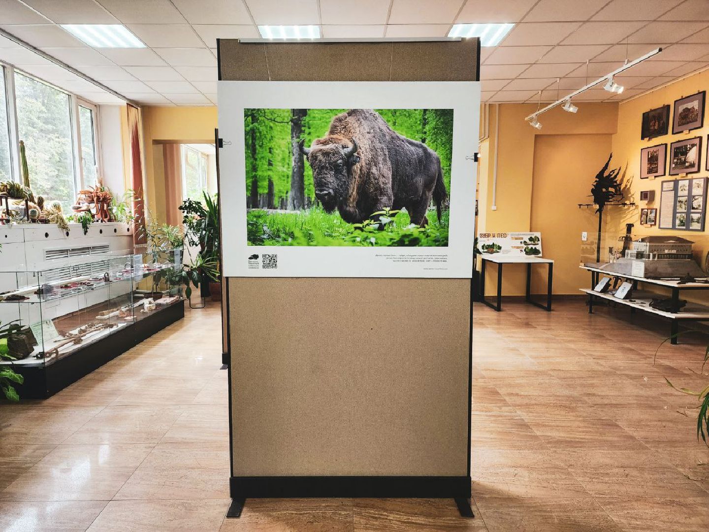 Пущино, серпухов, культура, экология,