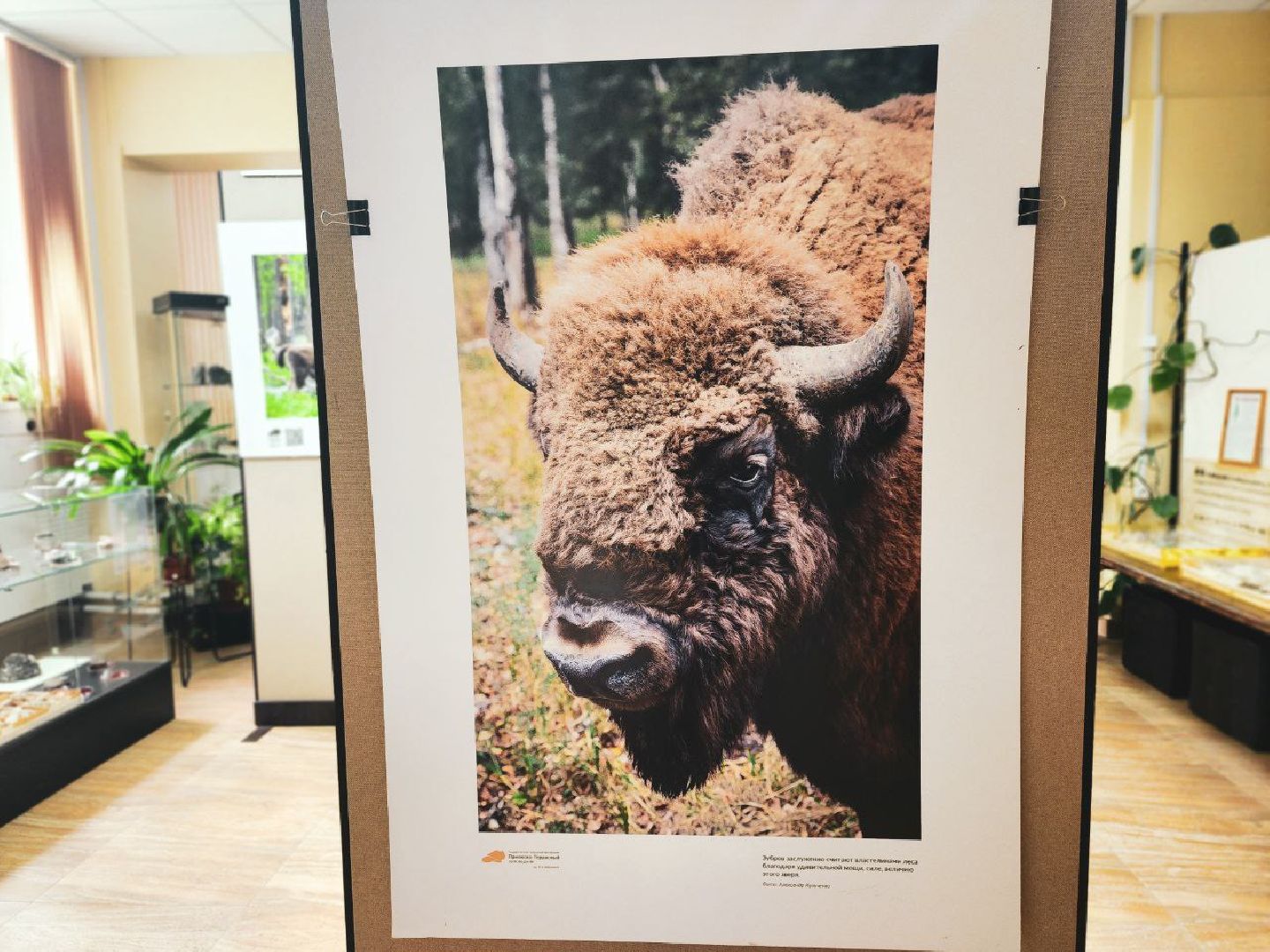 Пущино, серпухов, культура, экология,