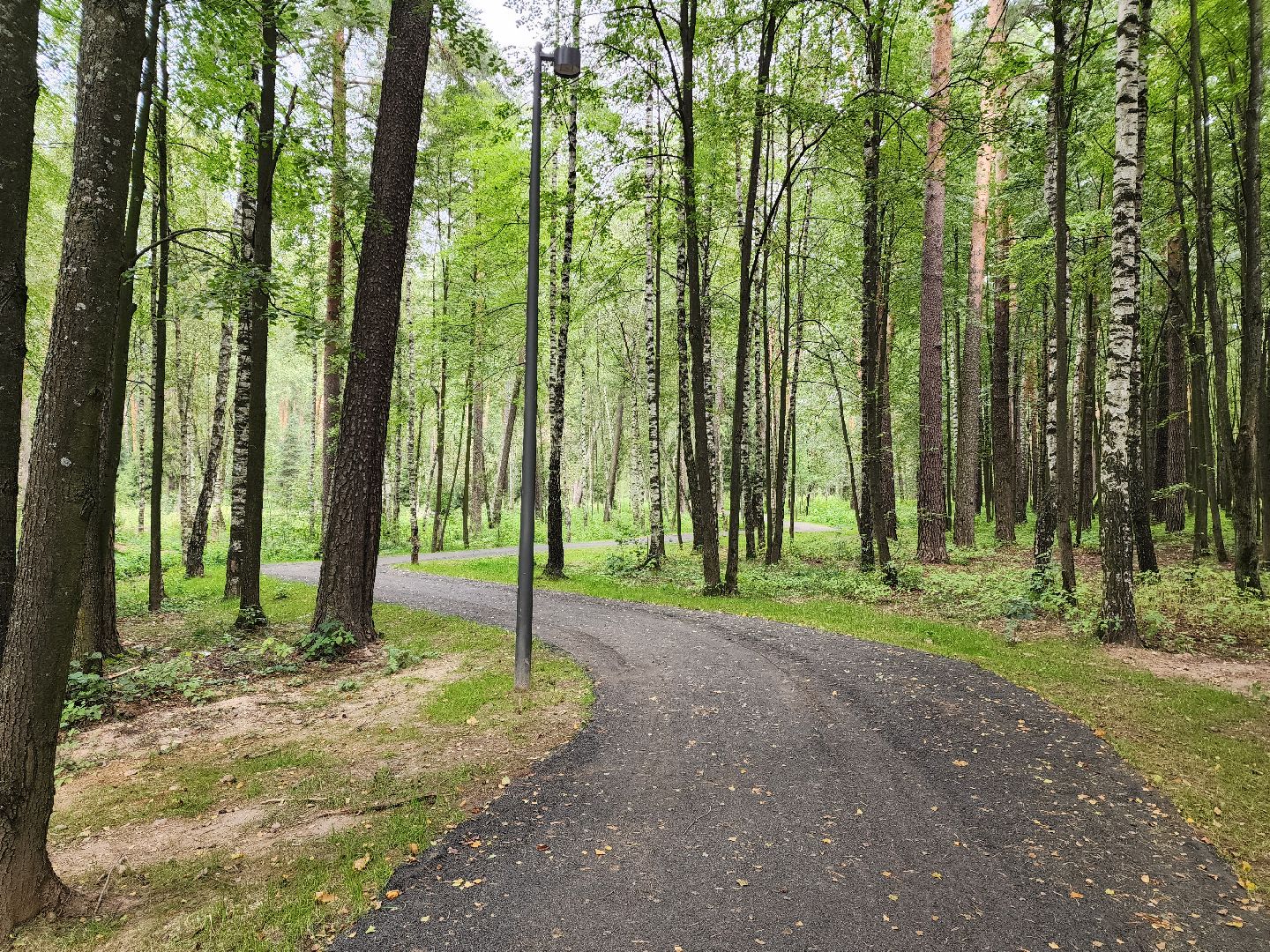 красноармейск, городской округ пушкинский, лесопарк, скейт-парк, благоустройство ,