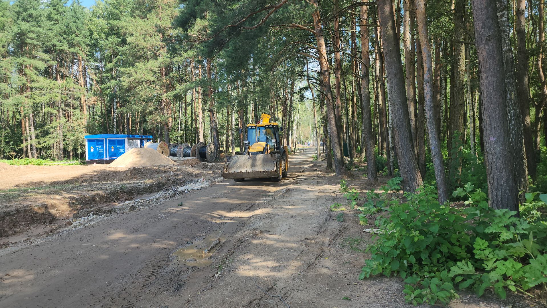 Истра, Лес, Парк, Лесопарк, Благоустройство ,