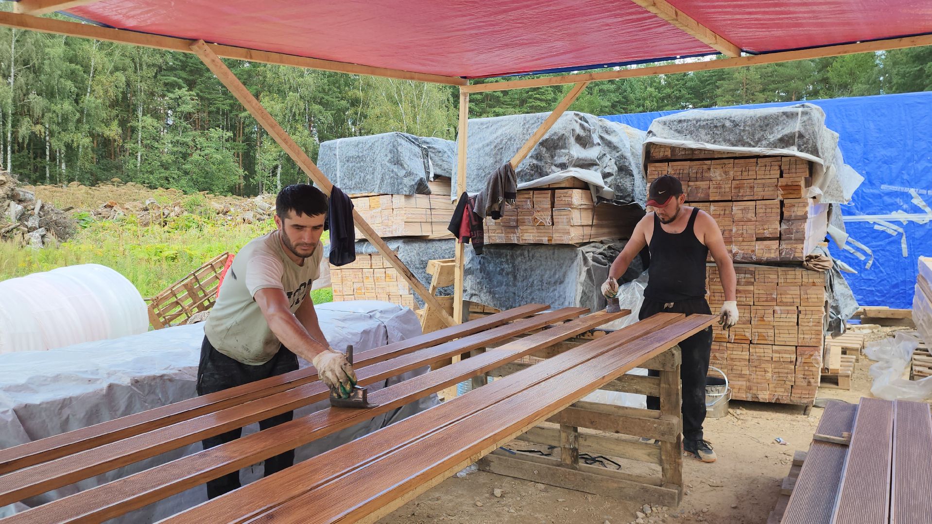 Истра, Лес, Парк, Лесопарк, Благоустройство ,