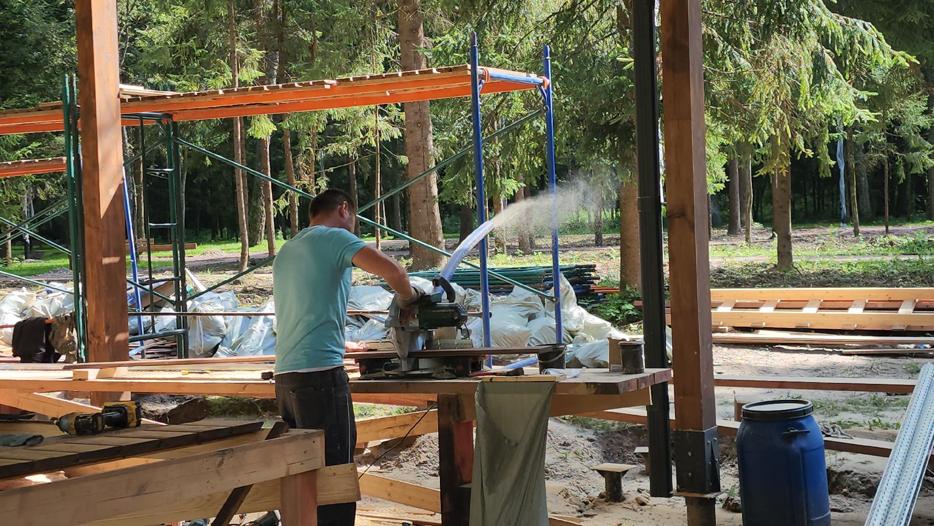 Истра, Лес, Парк, Лесопарк, Благоустройство ,