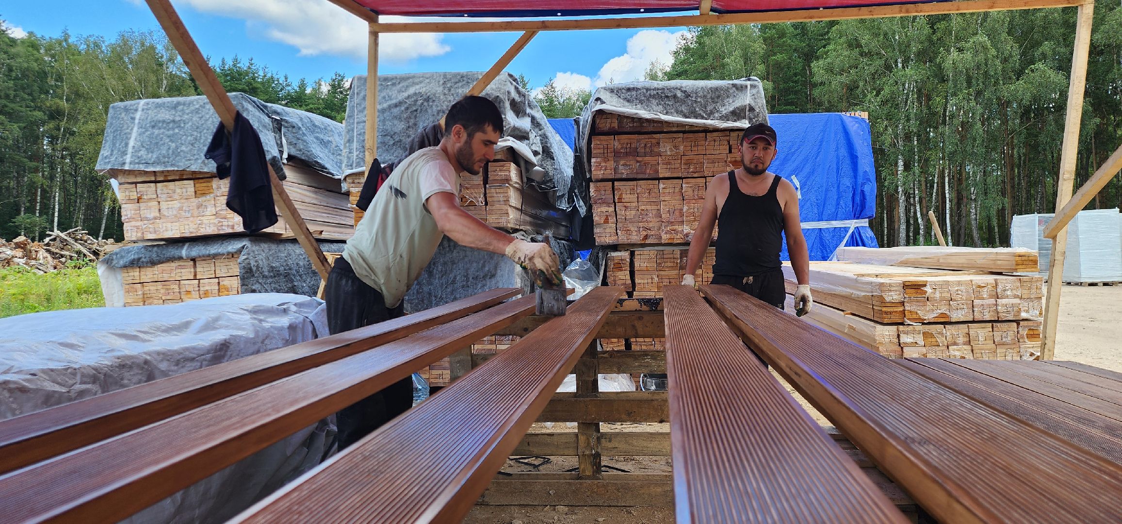 Истра, Лес, Парк, Лесопарк, Благоустройство ,