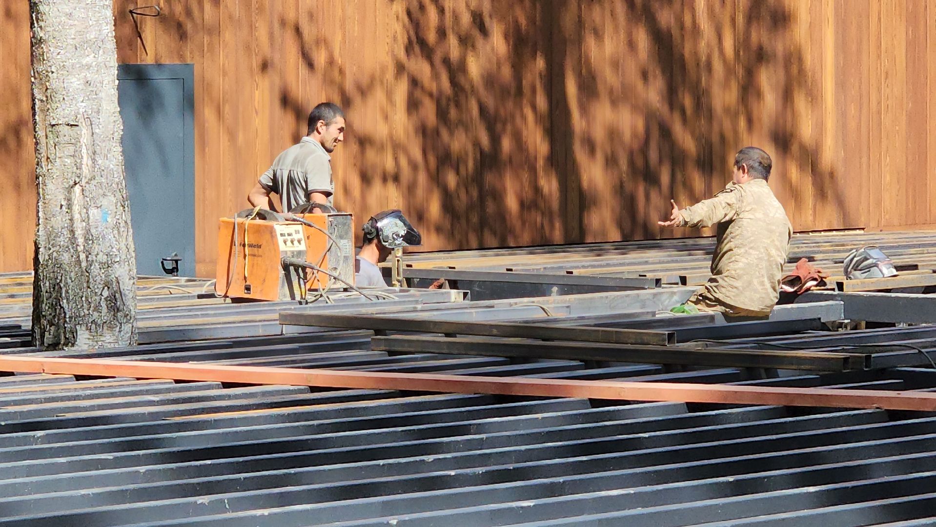 Истра, Лес, Парк, Лесопарк, Благоустройство ,