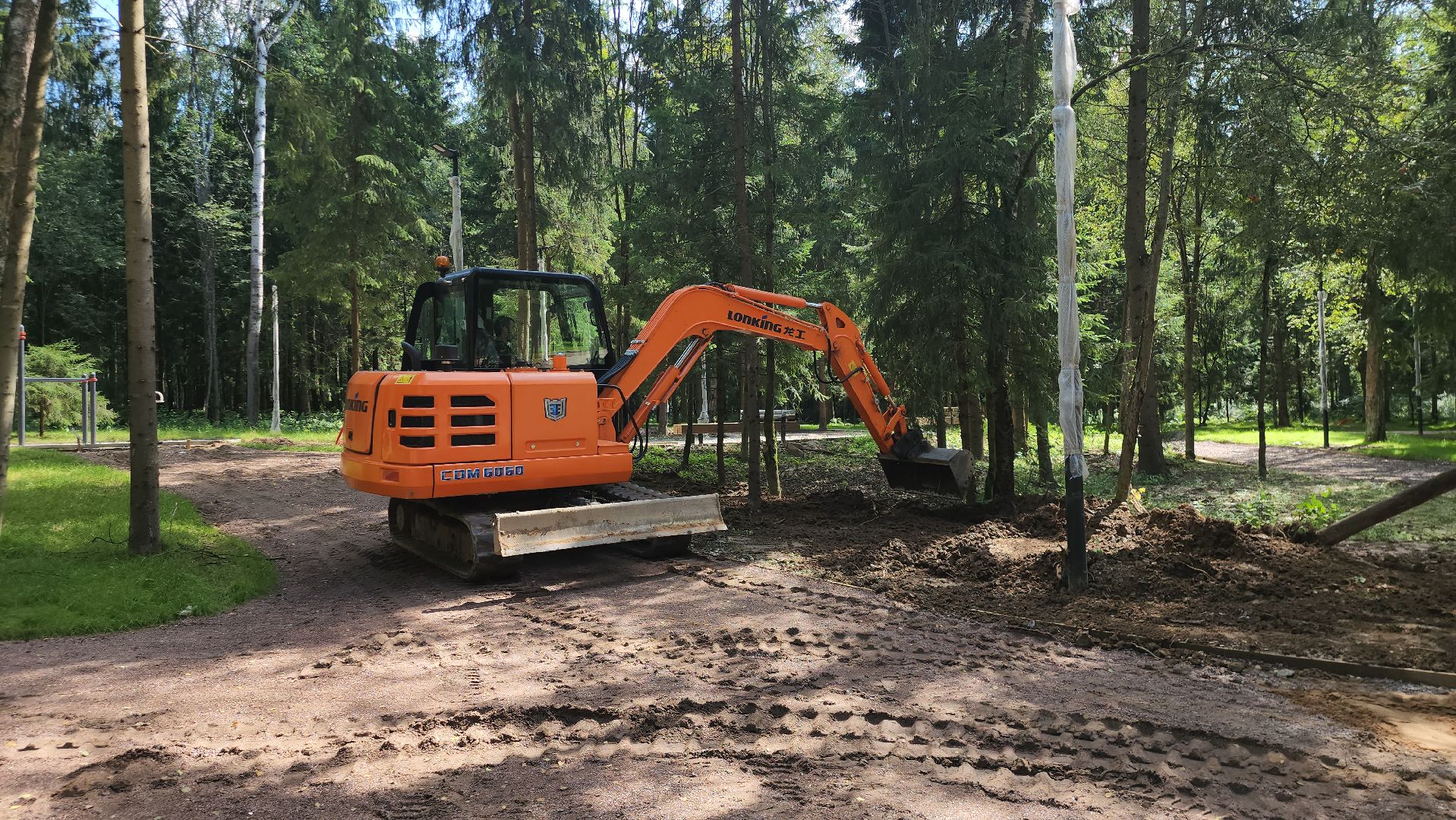 Истра, Лес, Парк, Лесопарк, Благоустройство ,