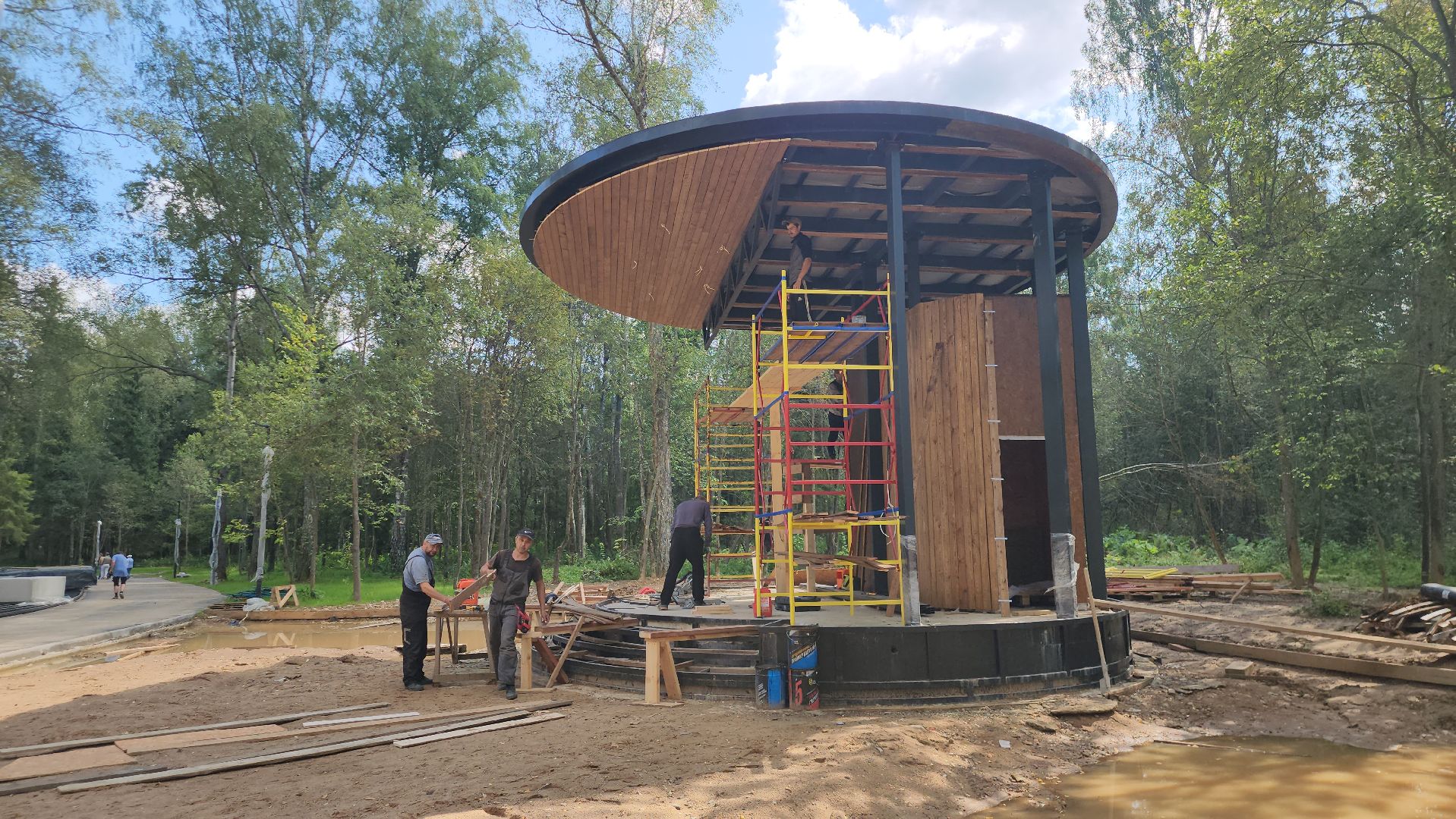 Истра, Лес, Парк, Лесопарк, Благоустройство ,