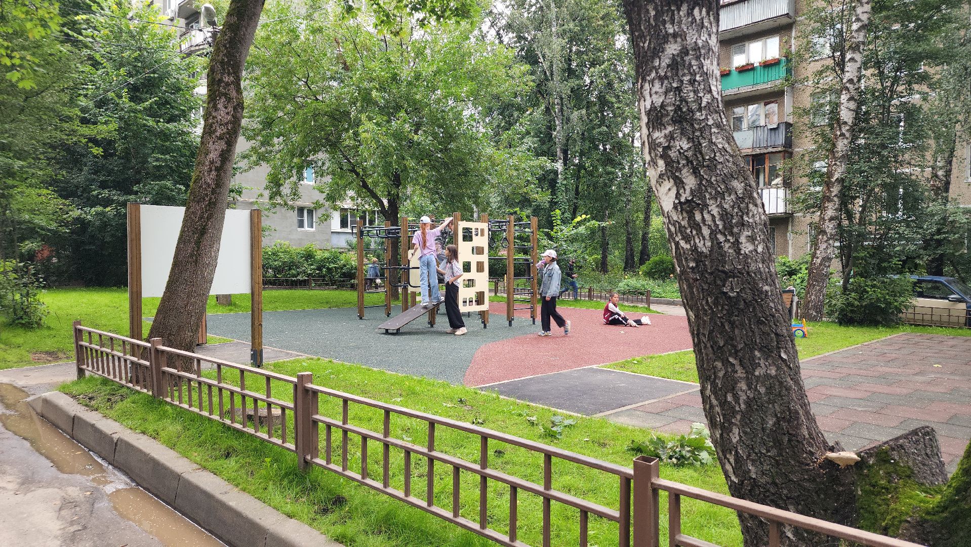 воркаут, мытищи,