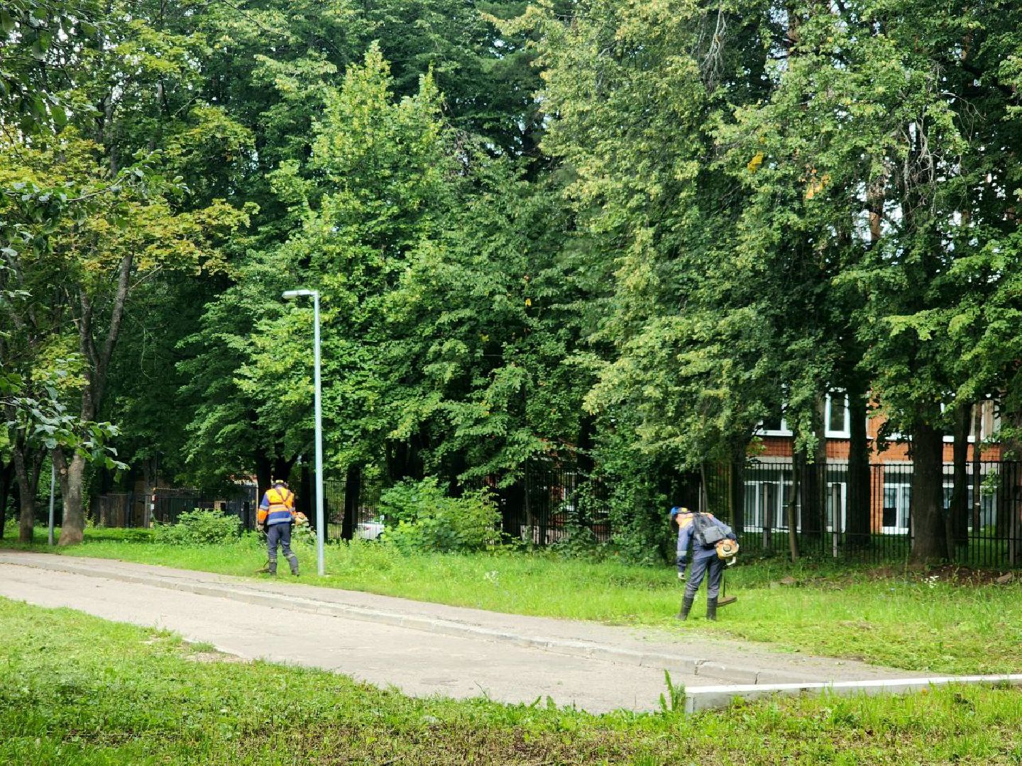 пущино, серпухов, благоустройсво,