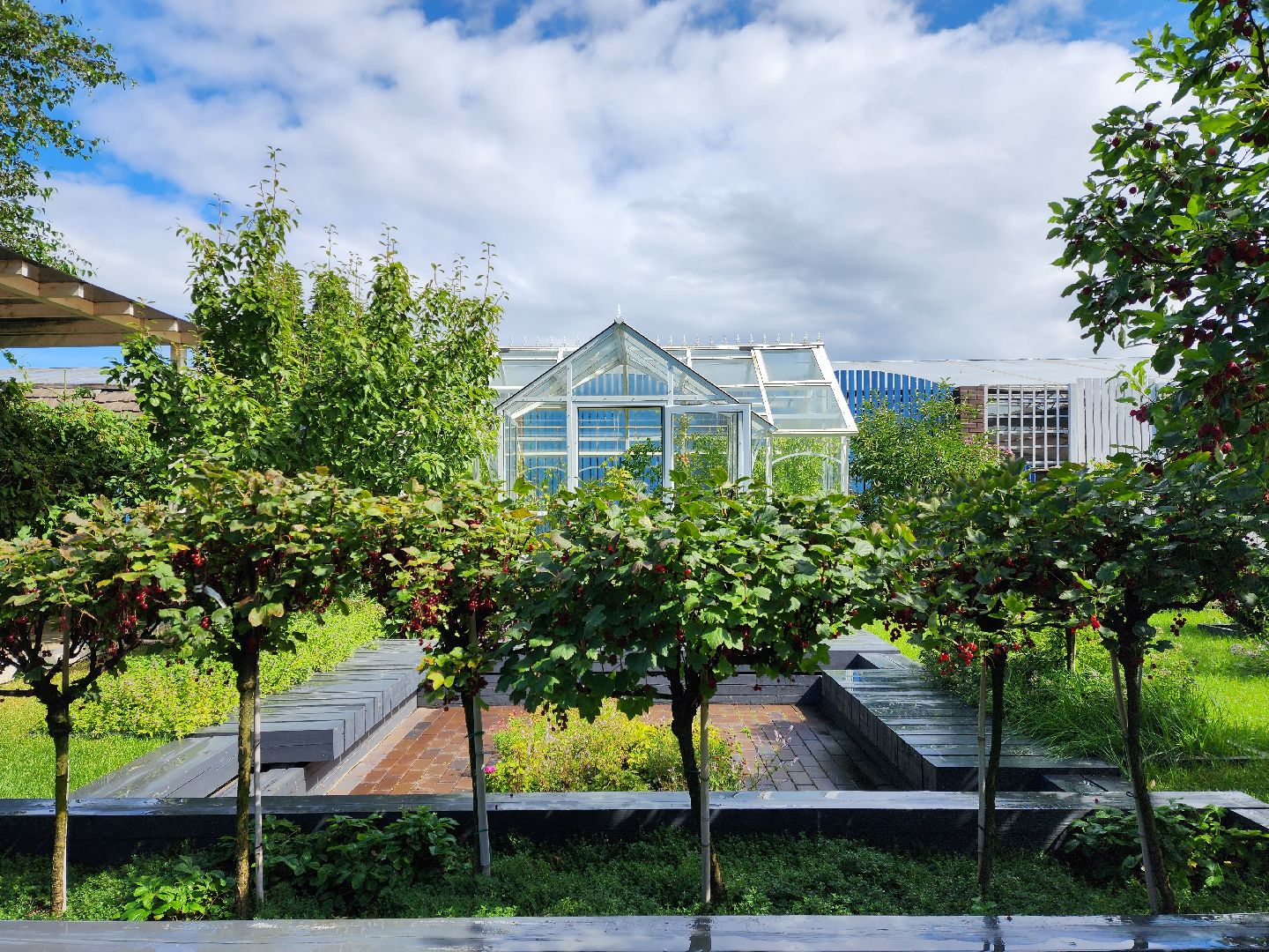 люберцы, сельское хозяйство, вторая международная выставка ассоциации производителей посадочного материала,