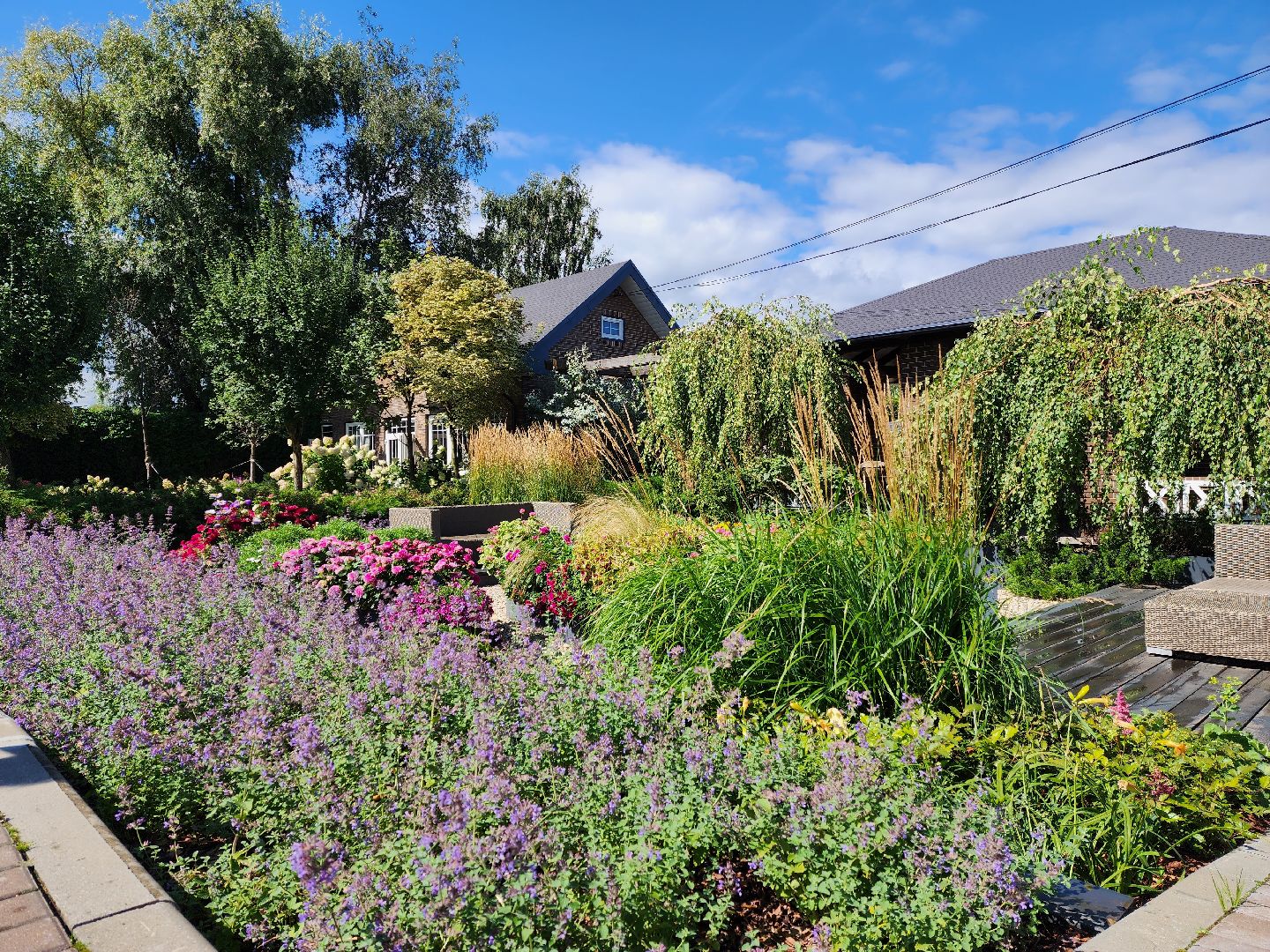 люберцы, сельское хозяйство, вторая международная выставка ассоциации производителей посадочного материала,