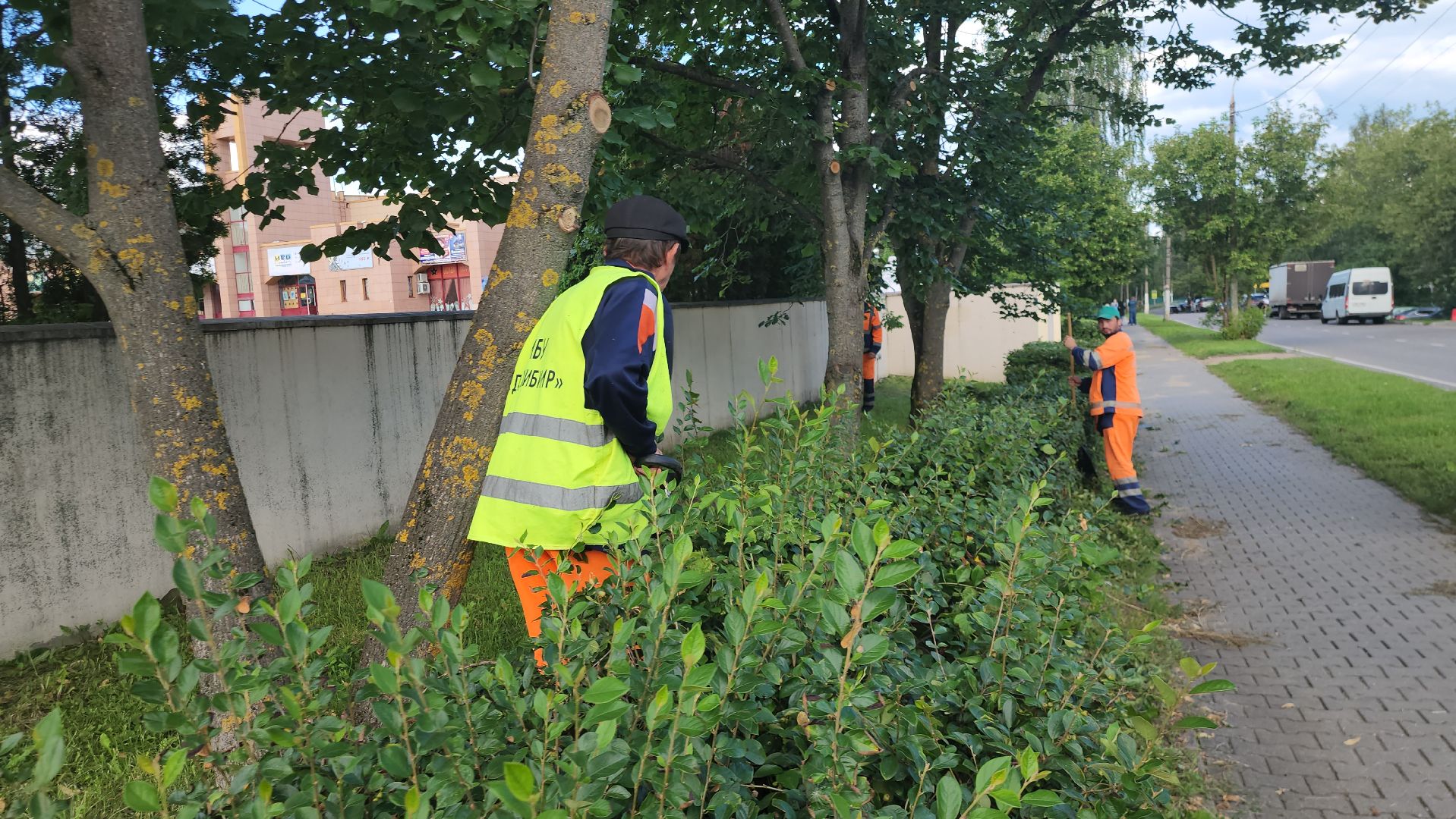 Истра, Благоустройство,