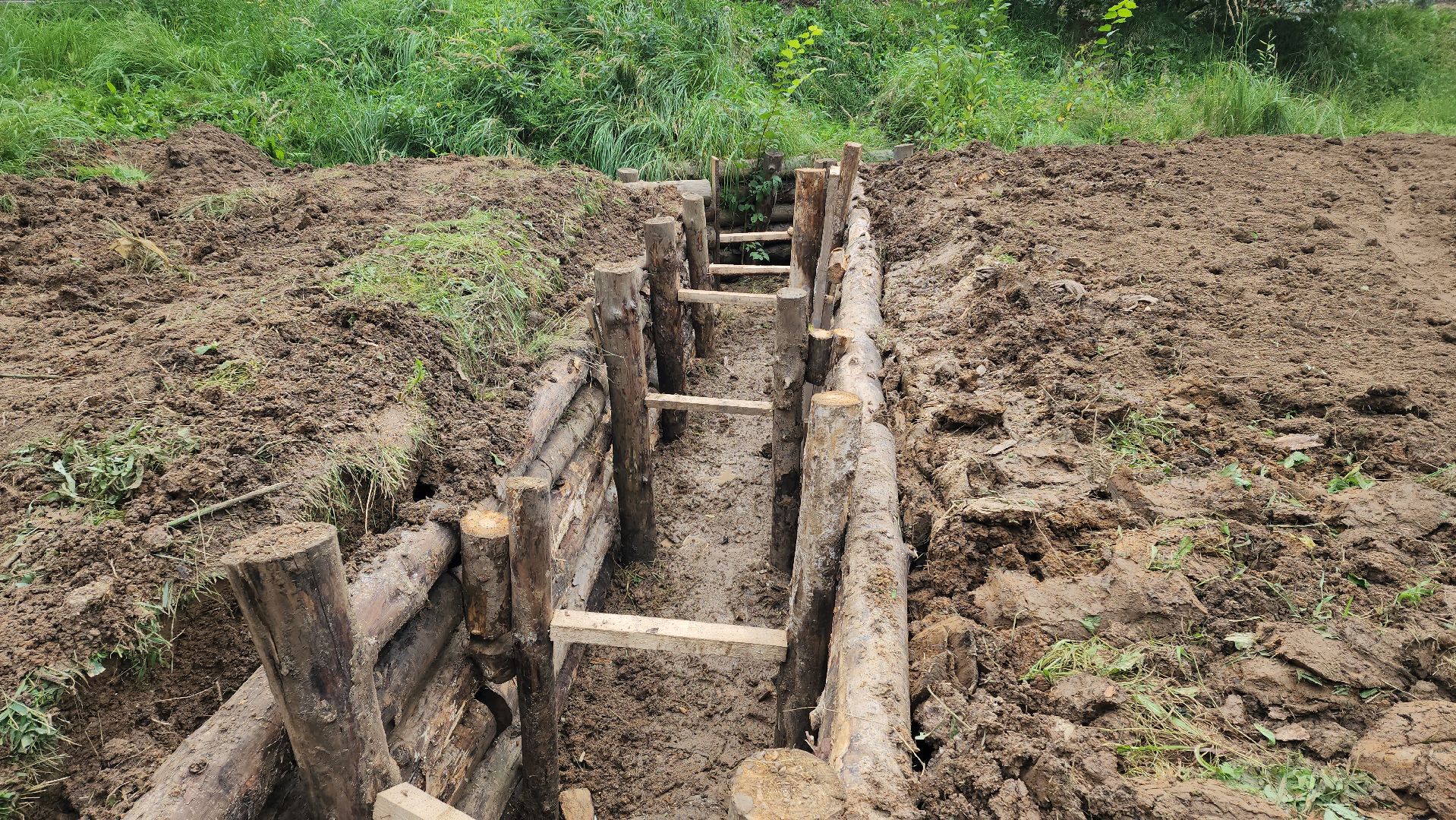 Благоустройство , Парк, Лобня , сквер,