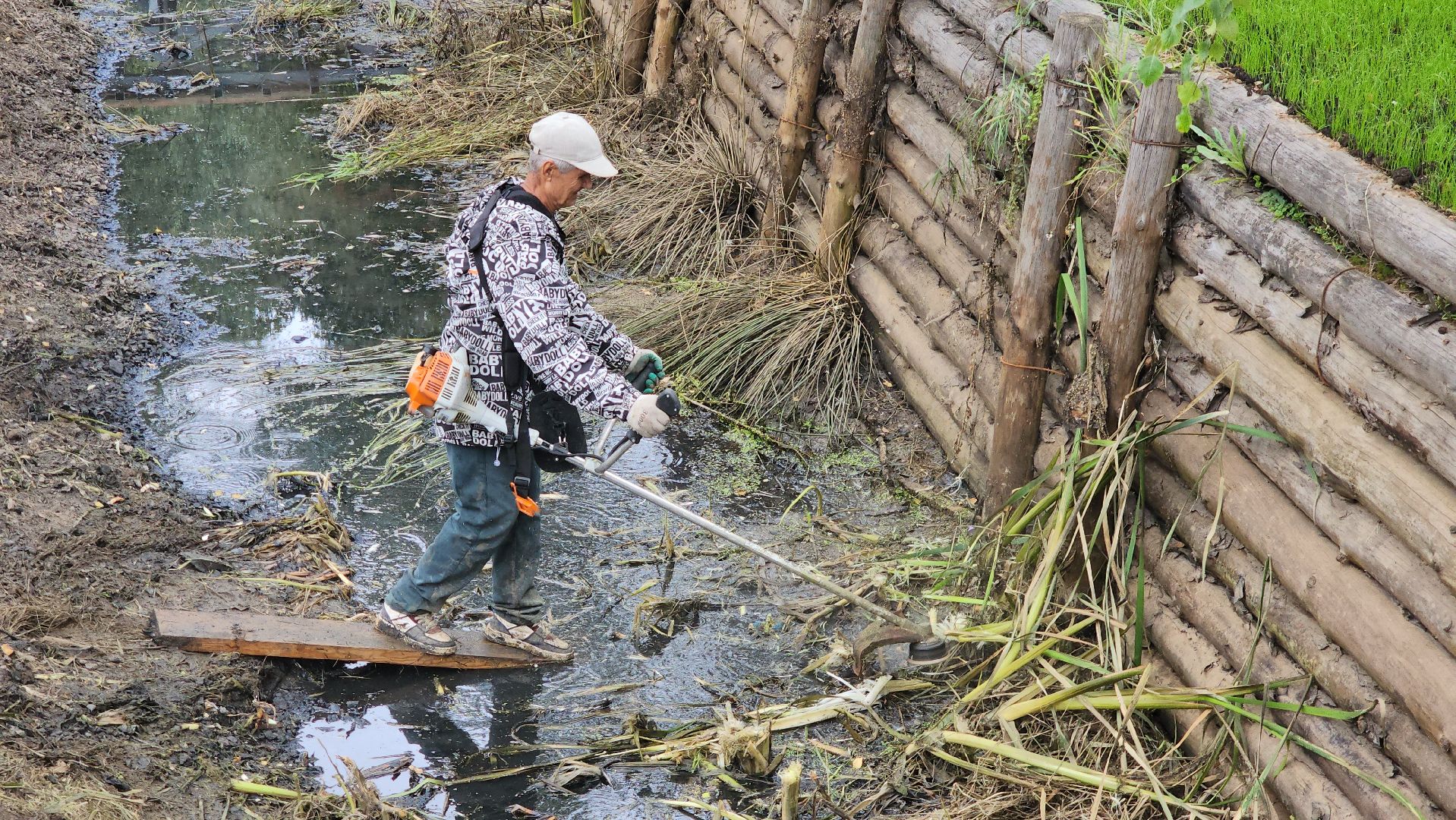 Благоустройство , Парк, Лобня , сквер,