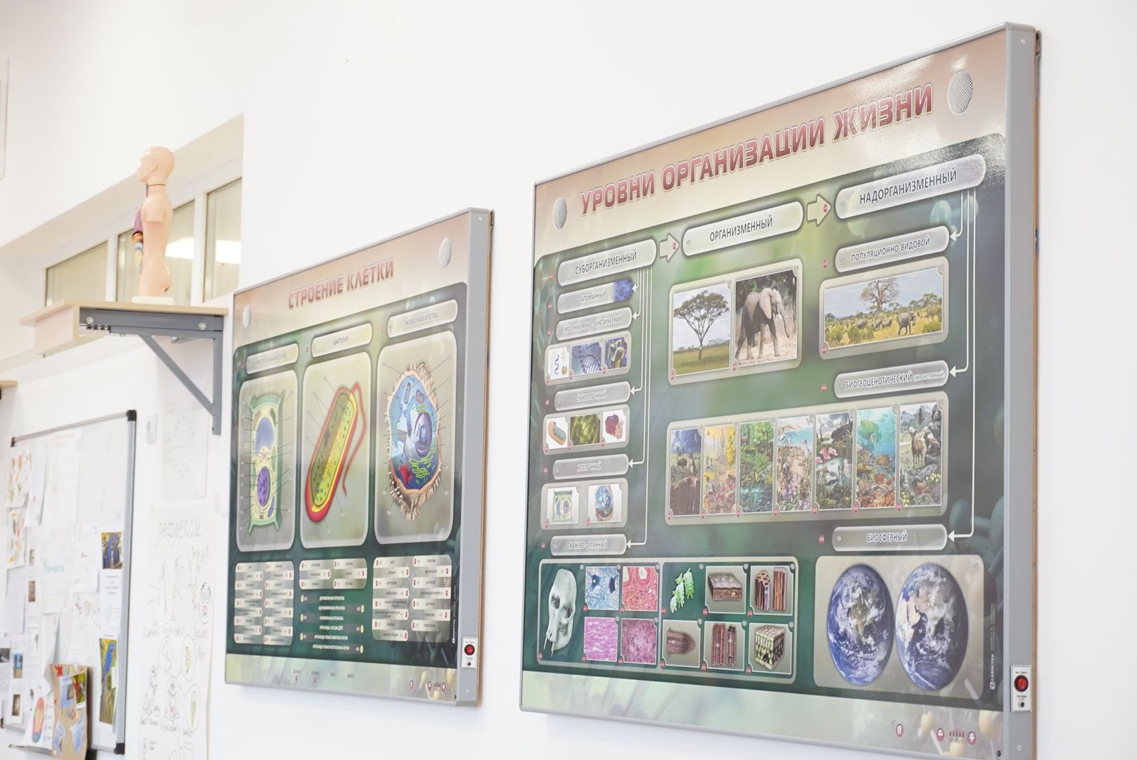 Павловский Посад, Электрогорск, образование ,