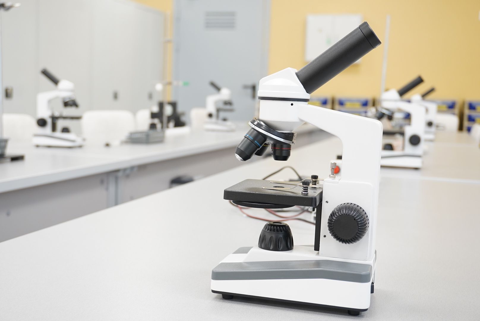 Павловский Посад, Электрогорск, образование ,