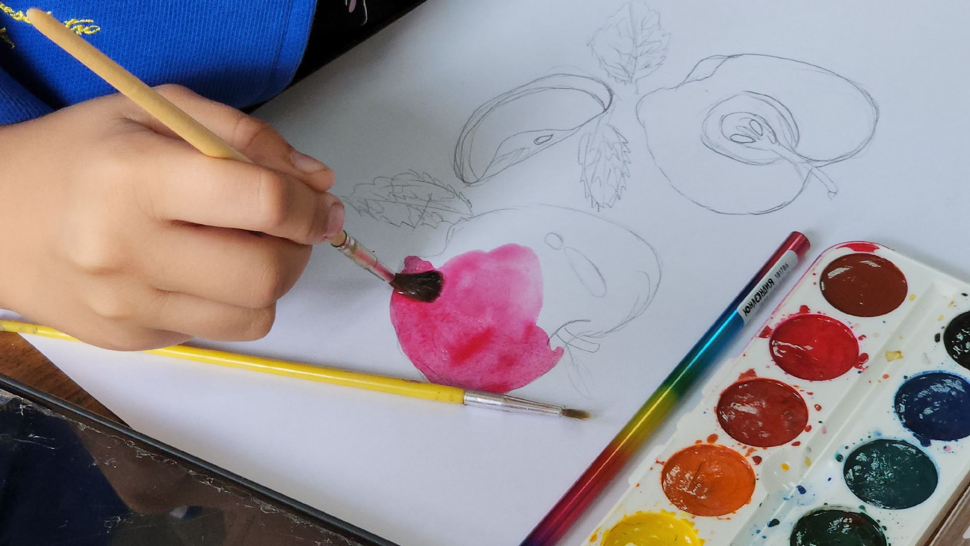 серпухов, социальный центр серпуховский, яблочный спас в серпухове, дети с овз в серпухове, улица лермонтова,