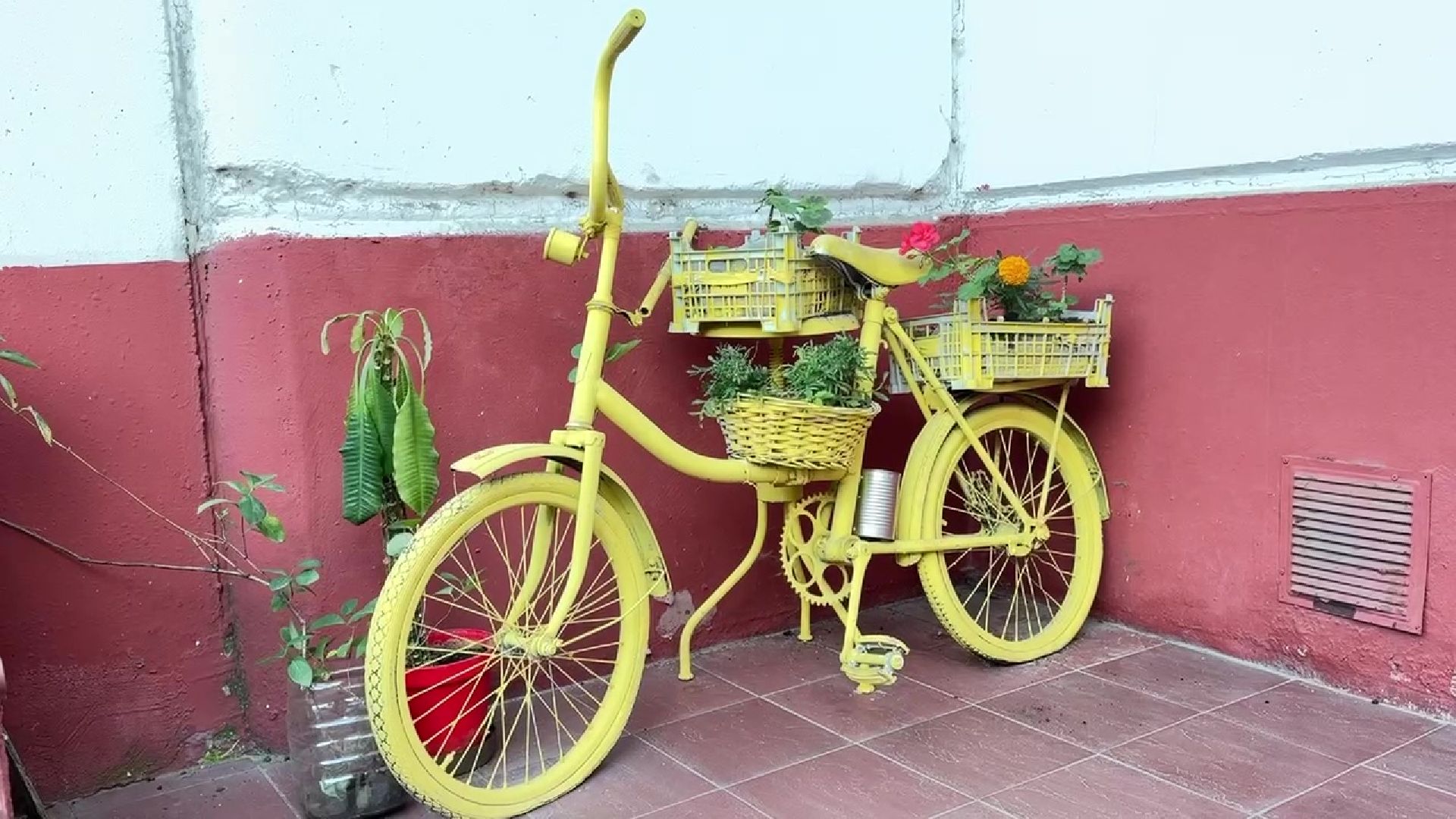 Реутов, клумба, красивый двор, благоустройство,