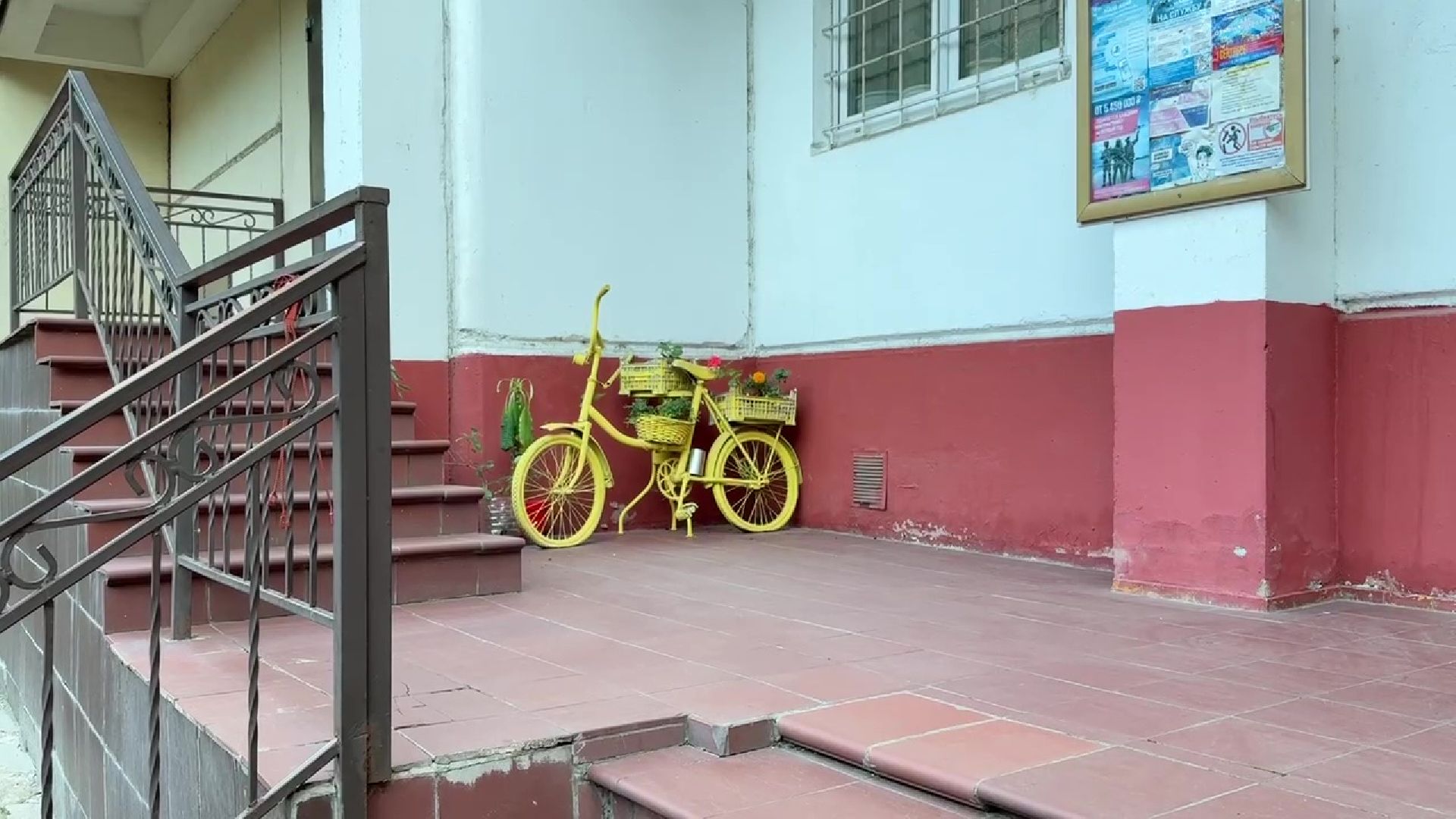 Реутов, клумба, красивый двор, благоустройство,