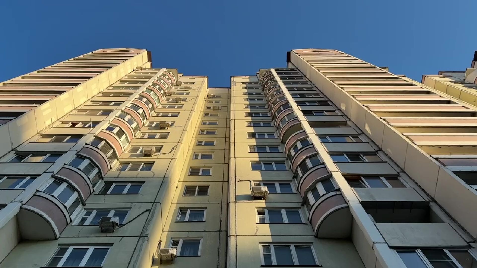 Реутов, клумба, красивый двор, благоустройство,