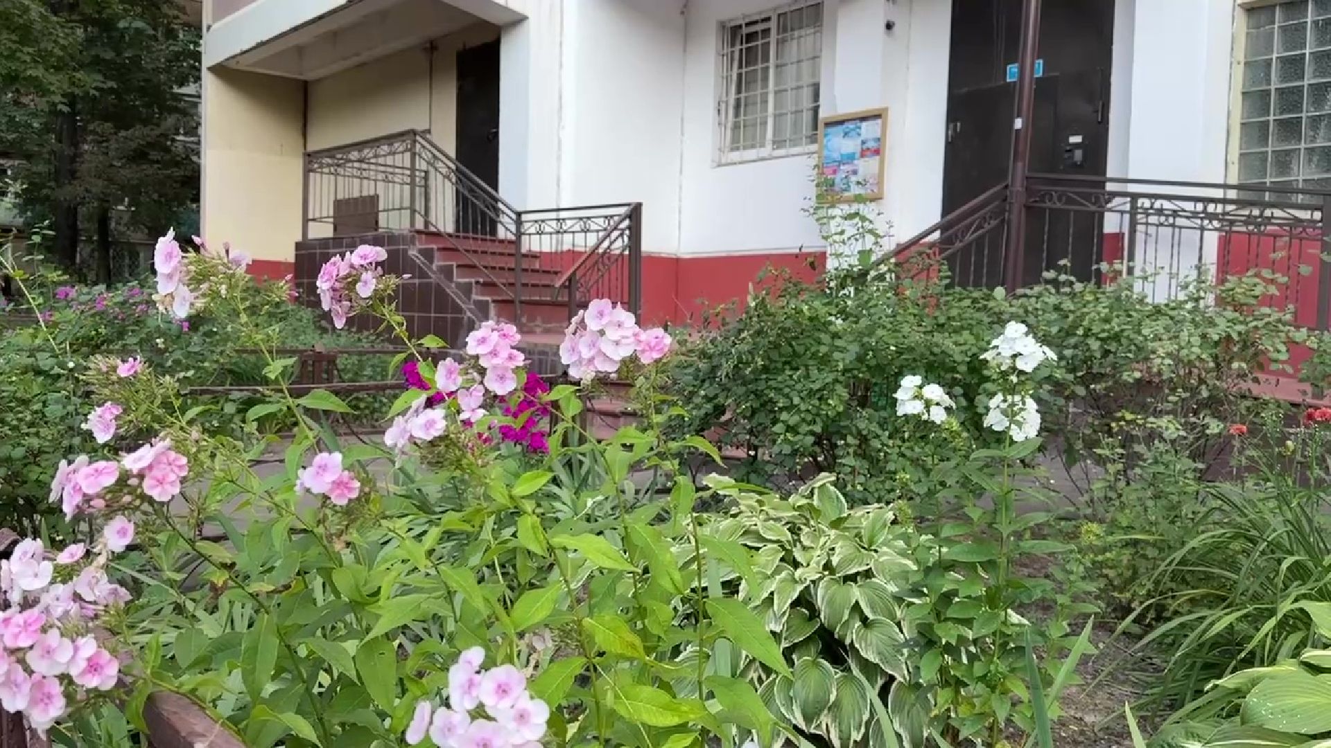 Реутов, клумба, красивый двор, благоустройство,