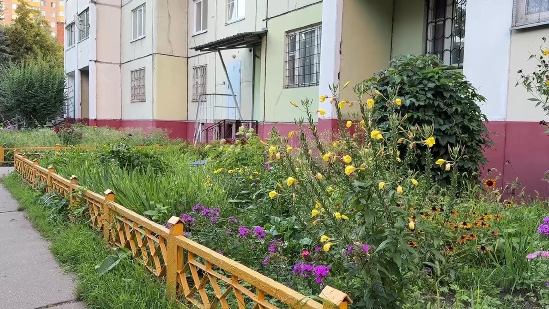 Реутов, клумба, красивый двор, благоустройство,