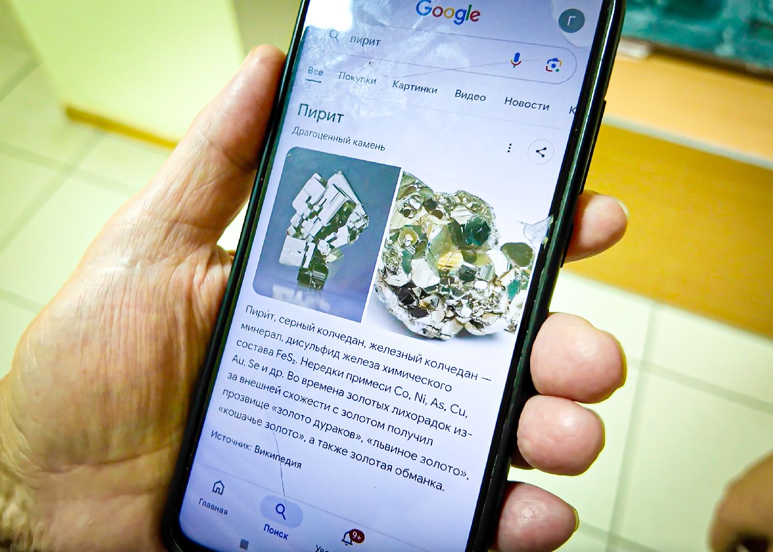 клин, золото, общество, волонтеры, туризм, подмосковье,