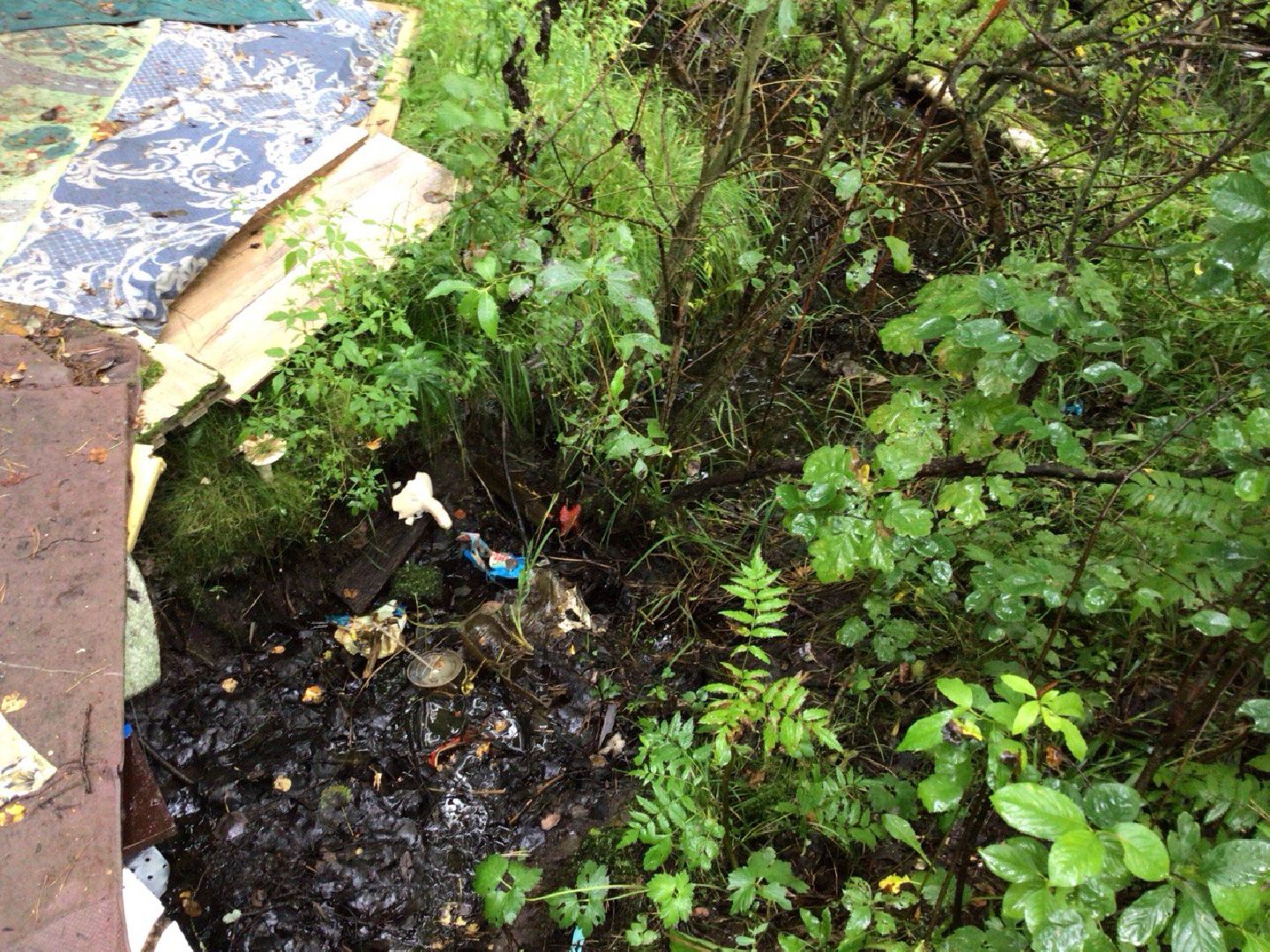 ногинск, выездная администрация, жители, власть, жкх, благоустройство,