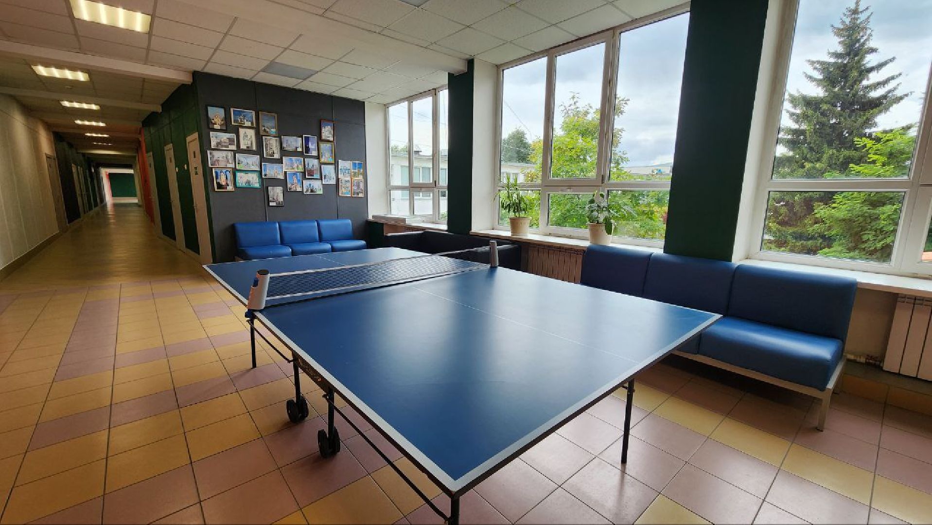 Дмитров, Гимназия Дмитров, Ремонт школ, Минобразования,