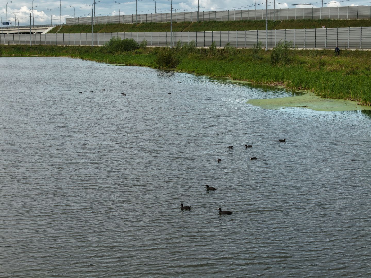 видео с коптера, очистка Островецкого озера, экология люберцы,