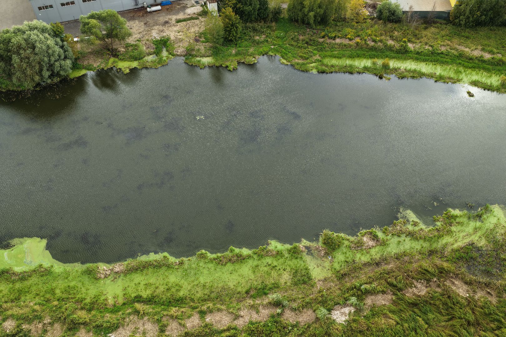 видео с коптера, очистка Островецкого озера, экология люберцы,