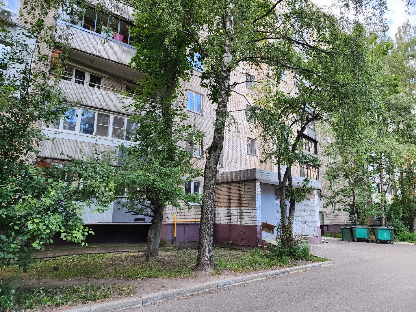 электросталь, жители, жкх, ремонт крыши, выездная администрация, власть,