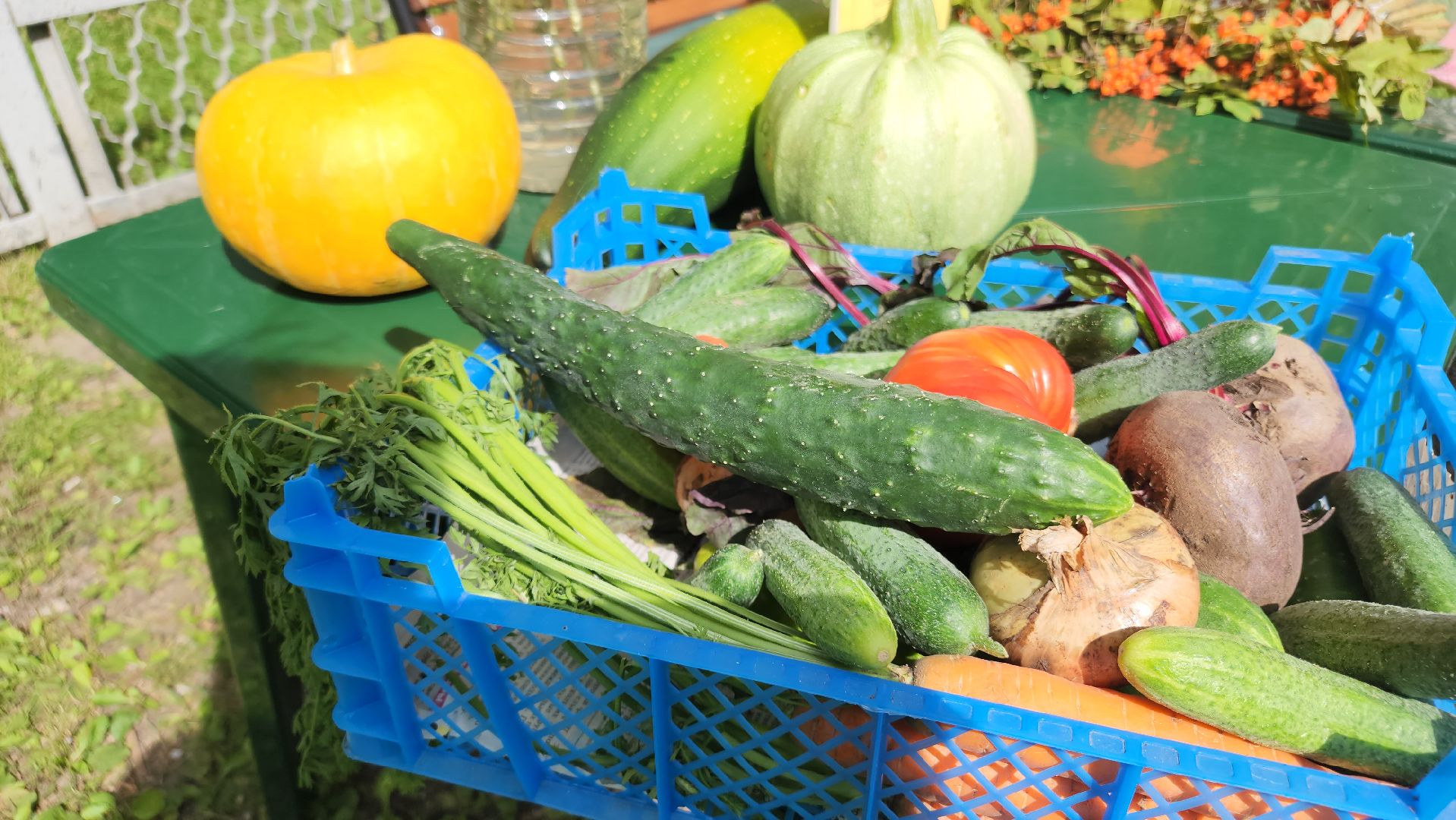 фестиваль огородников, активное долголетие, орехово-зуево, демихово,