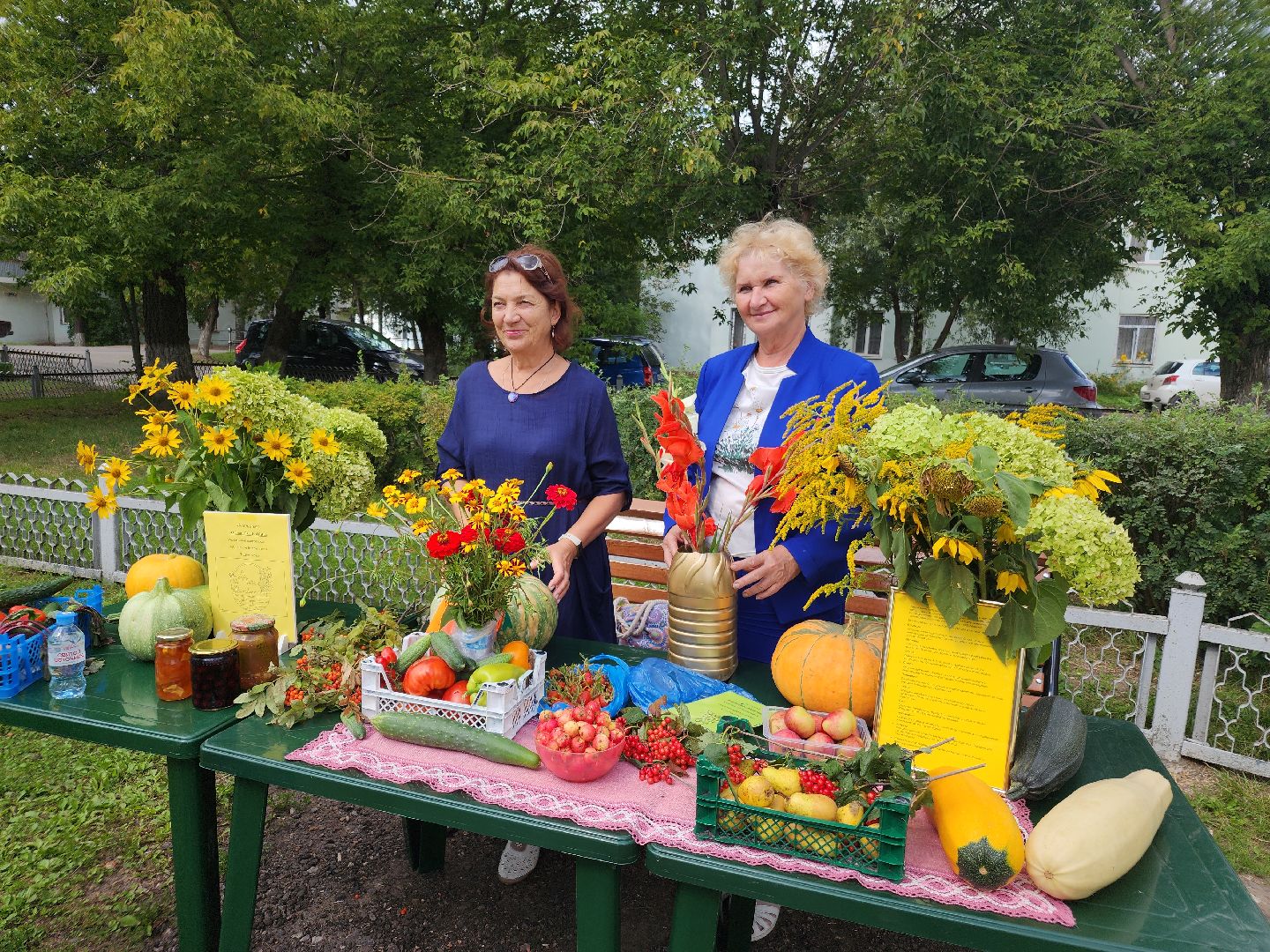 фестиваль огородников, активное долголетие, орехово-зуево, демихово,