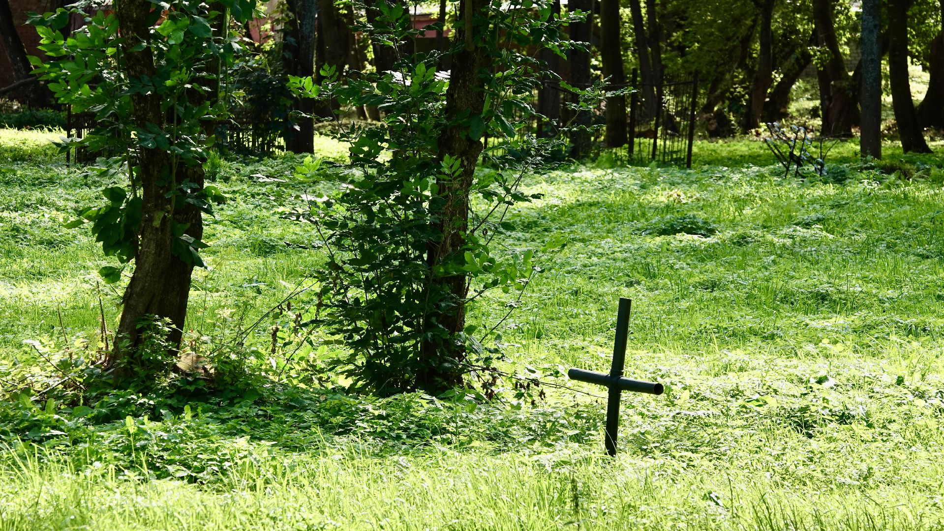 краеведение, сергиев посад, сергиево-посадский городской округ, история, память, благоустройство,