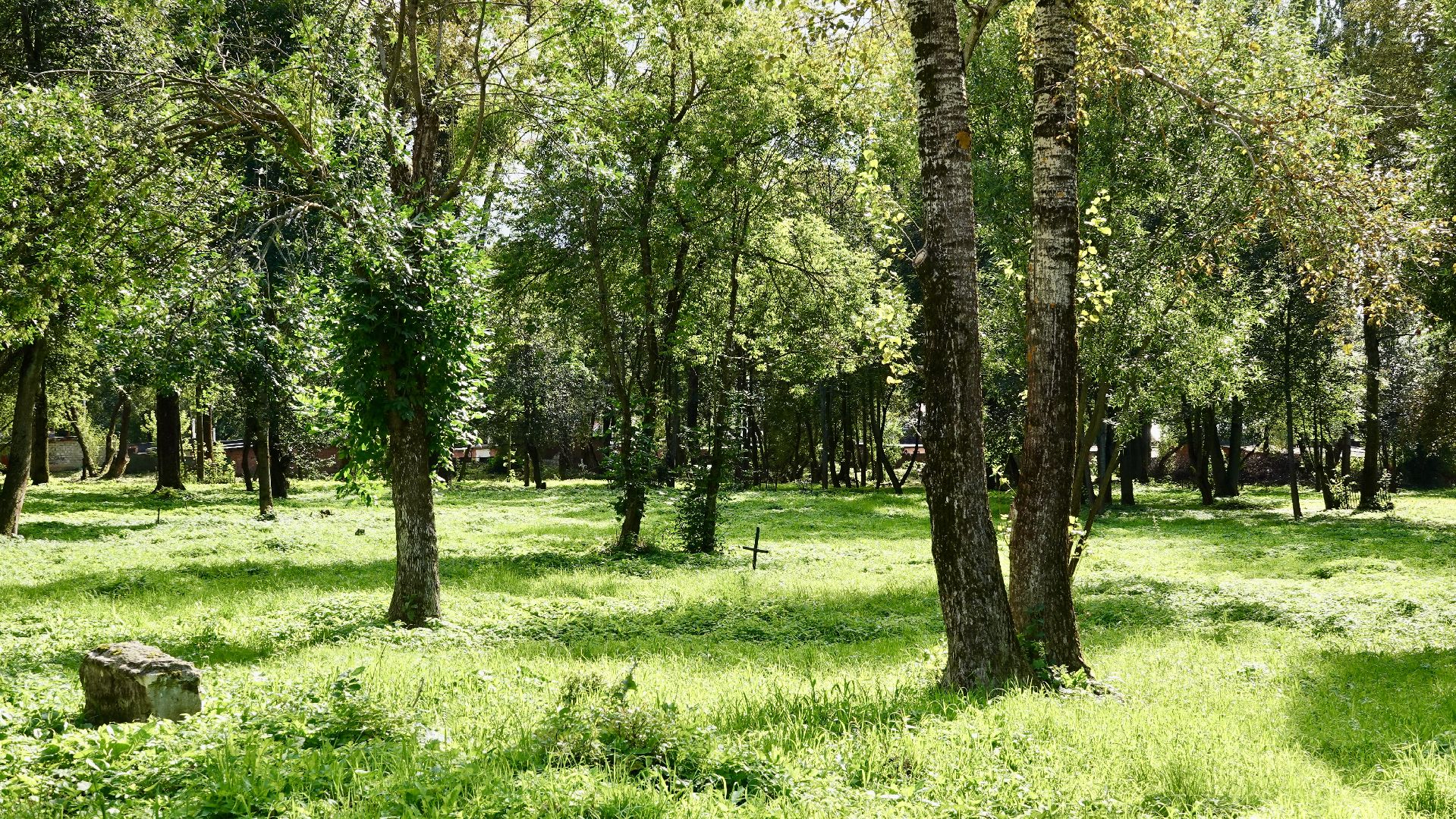 краеведение, сергиев посад, сергиево-посадский городской округ, история, память, благоустройство,