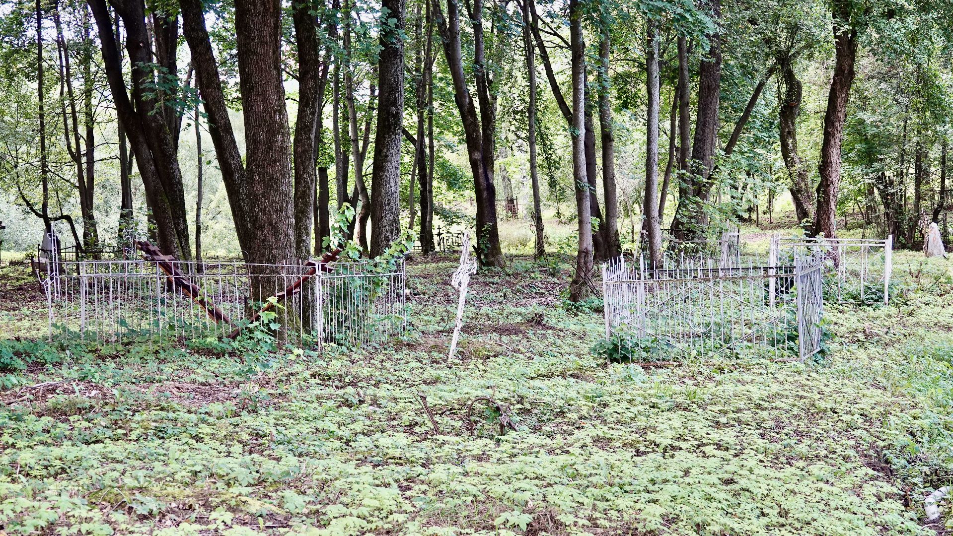 краеведение, сергиев посад, сергиево-посадский городской округ, история, память, благоустройство,