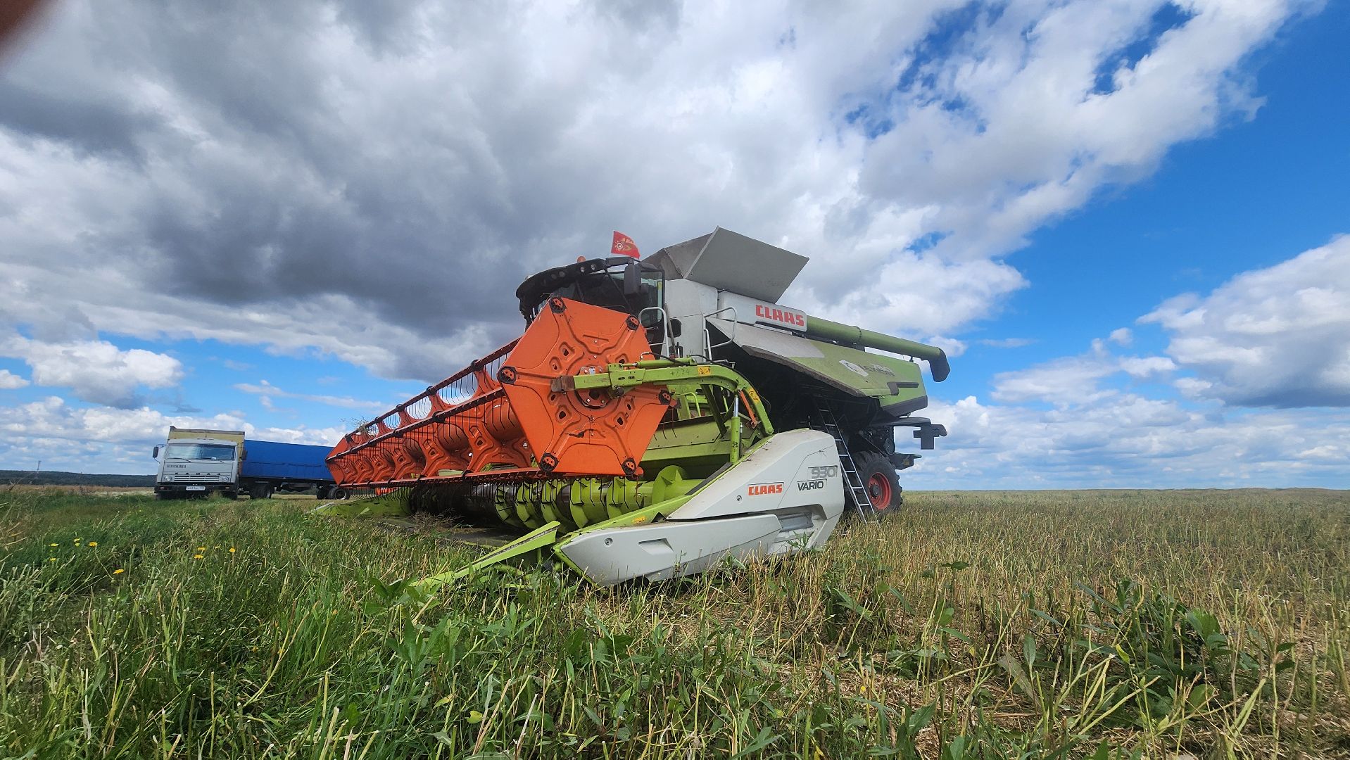 Зарайск, Сельское хозяйство, Уборочная кампания, Туламашагро, Уборка рапса в Зарайске,