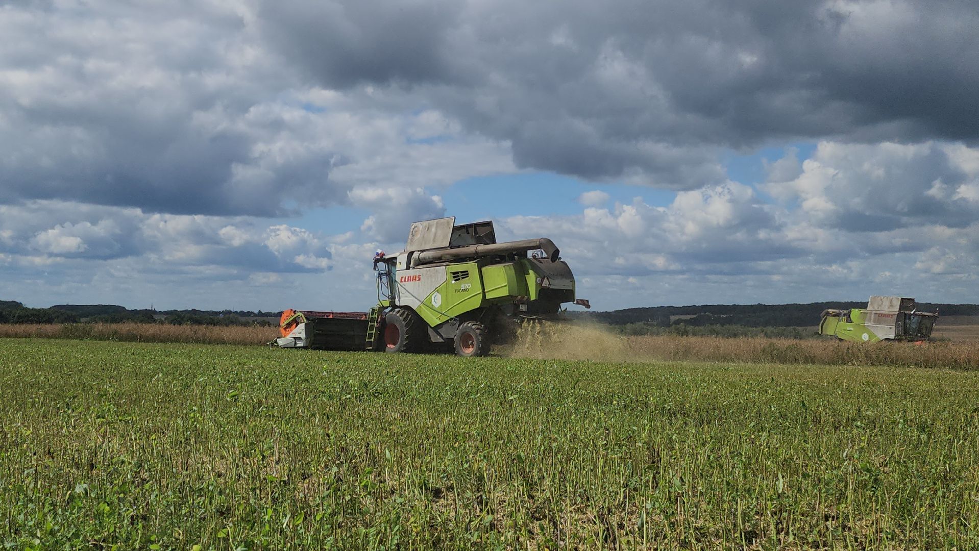 Зарайск, Сельское хозяйство, Уборочная кампания, Туламашагро, Уборка рапса в Зарайске,